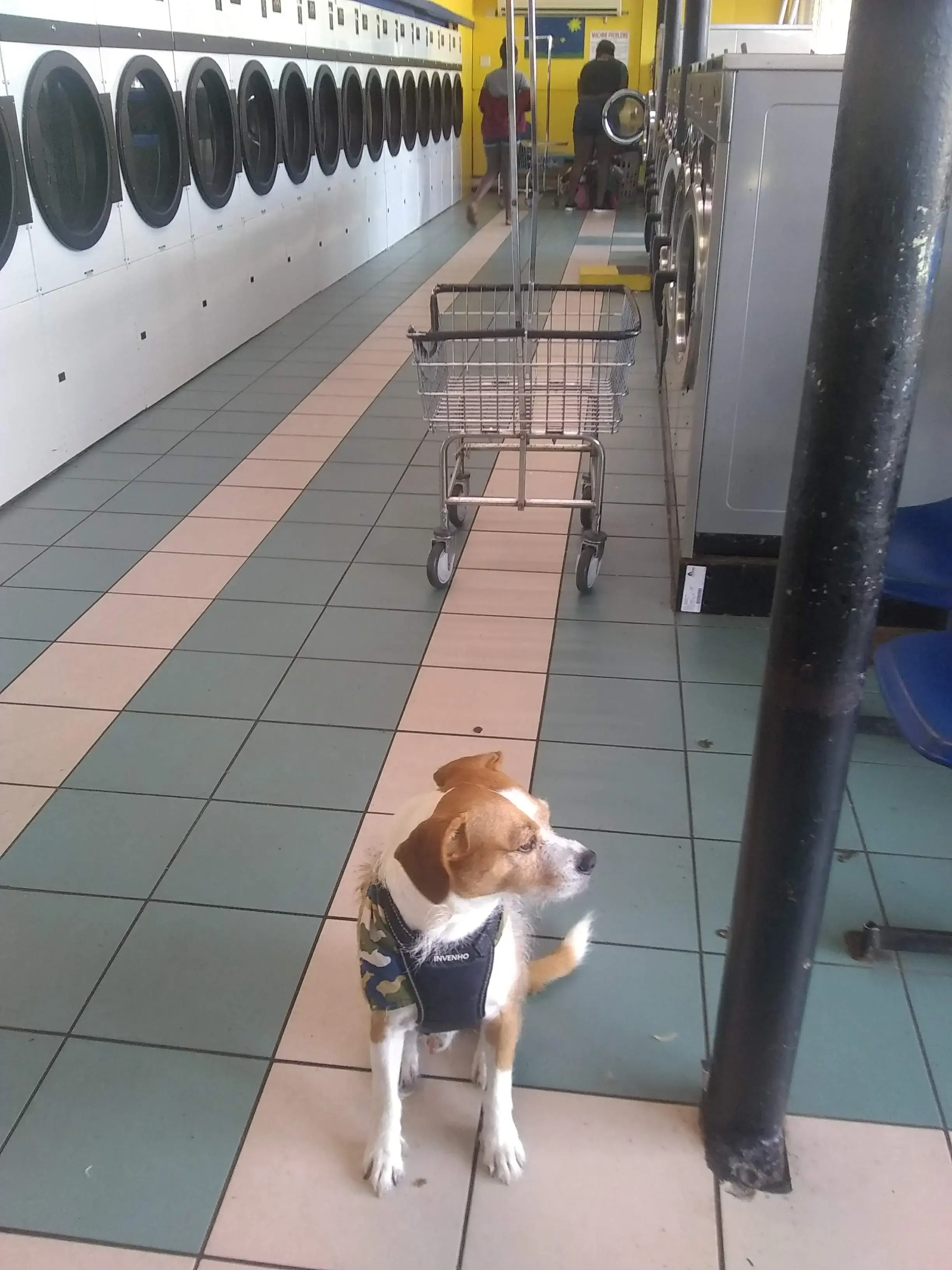 Lake Eustis Laundry, "Veteran Owned" thumbnail 13