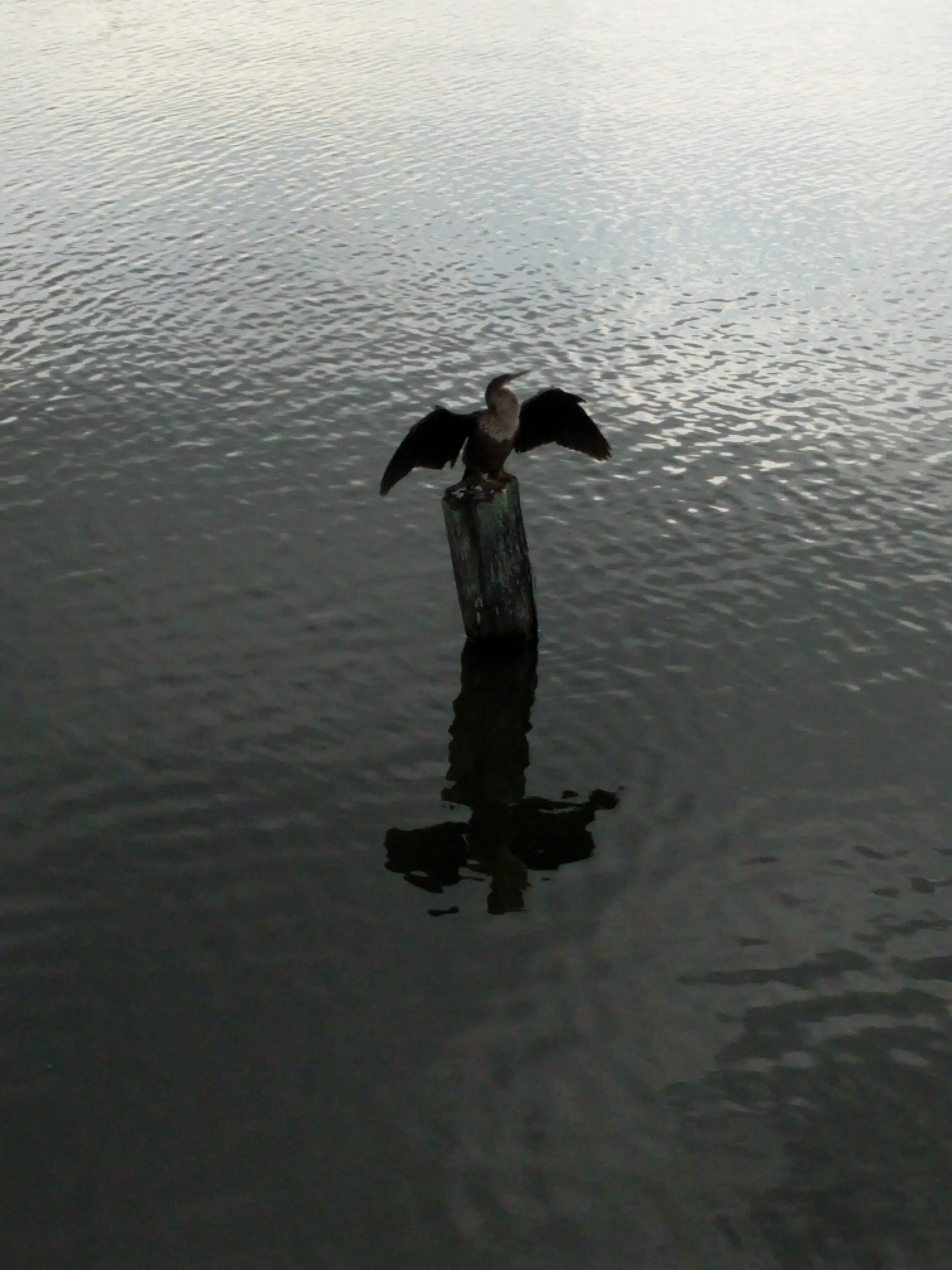 Lake Eustis Laundry, "Veteran Owned" thumbnail 17