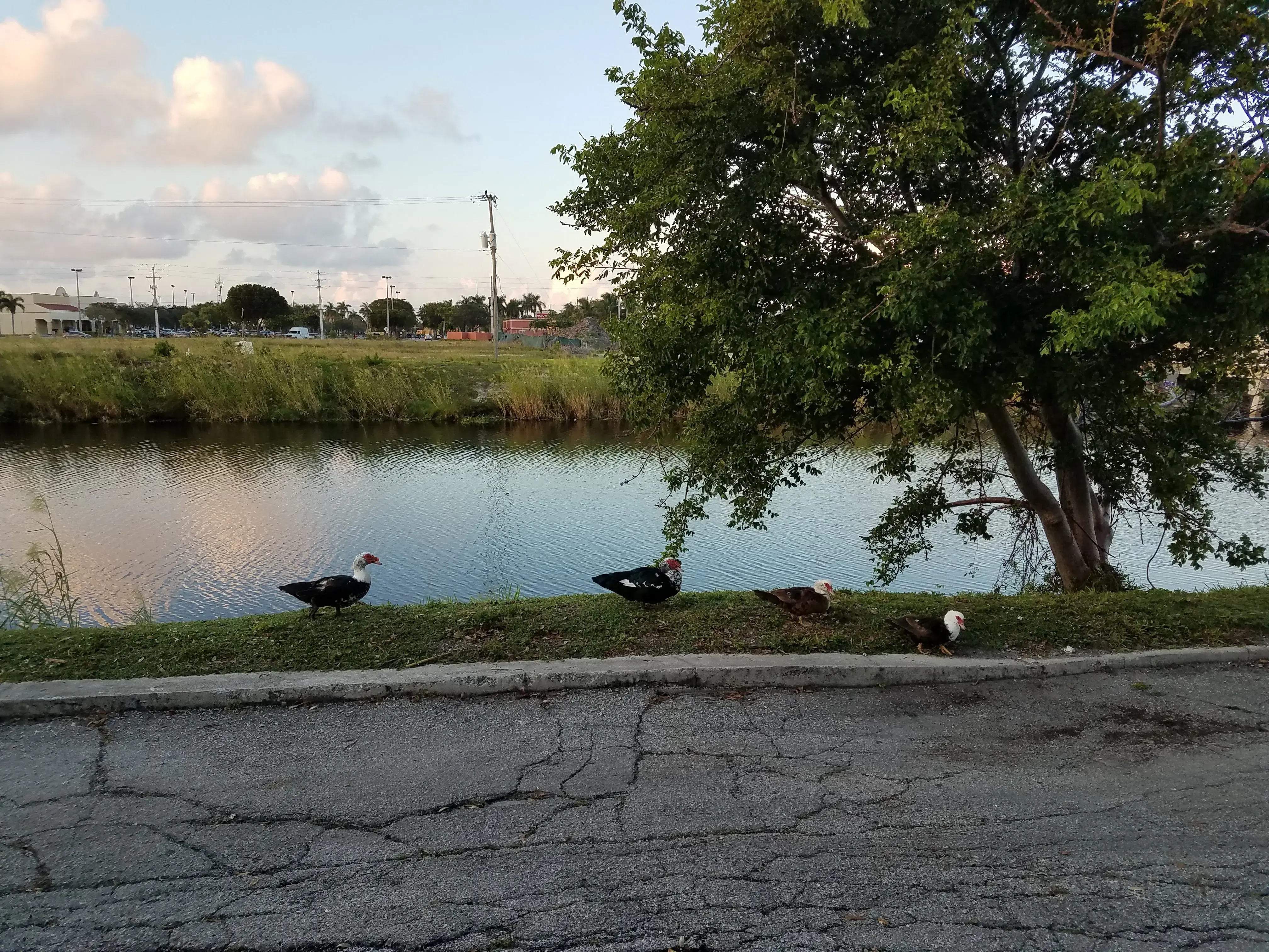 Lake Worth Laundry Co thumbnail 5
