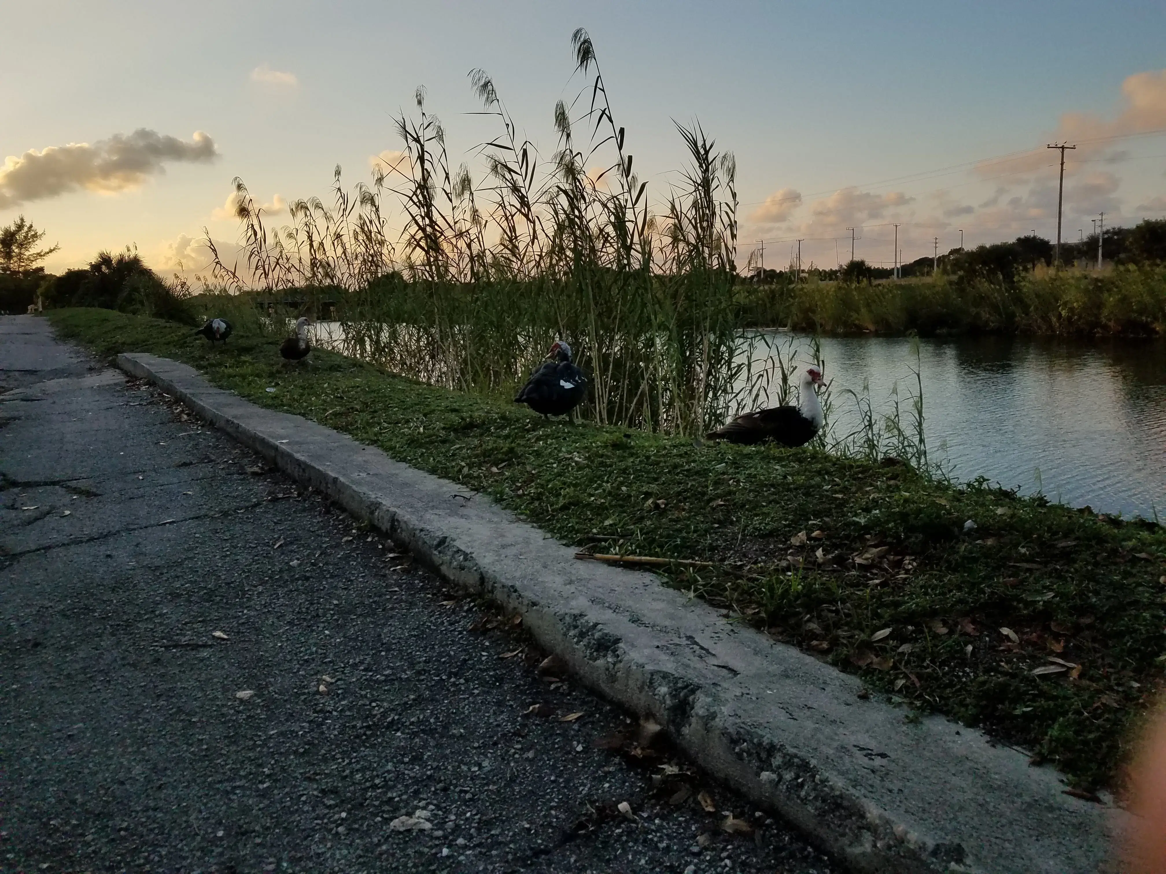 Lake Worth Laundry Co thumbnail 2