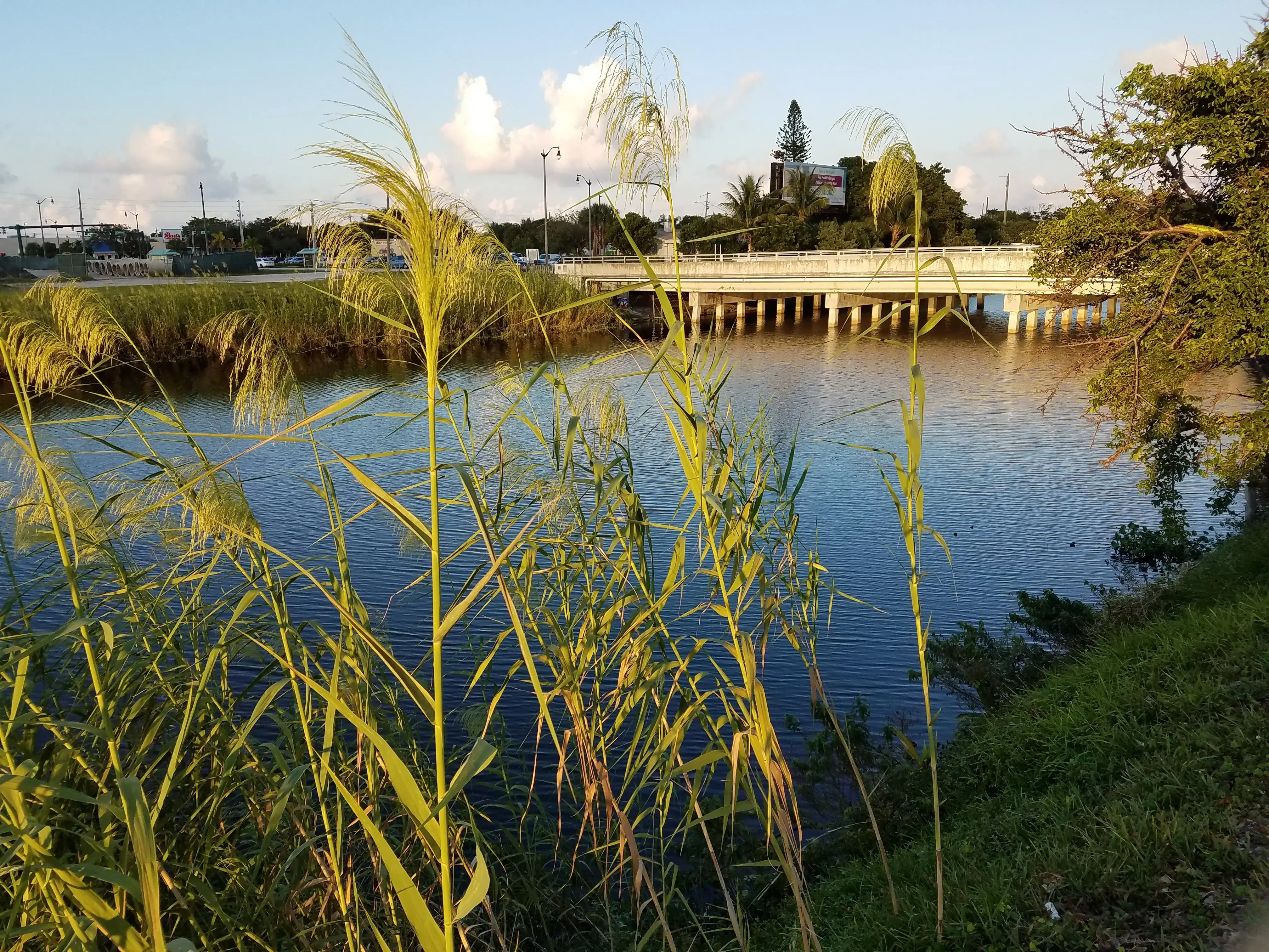 Lake Worth Laundry Co thumbnail 4