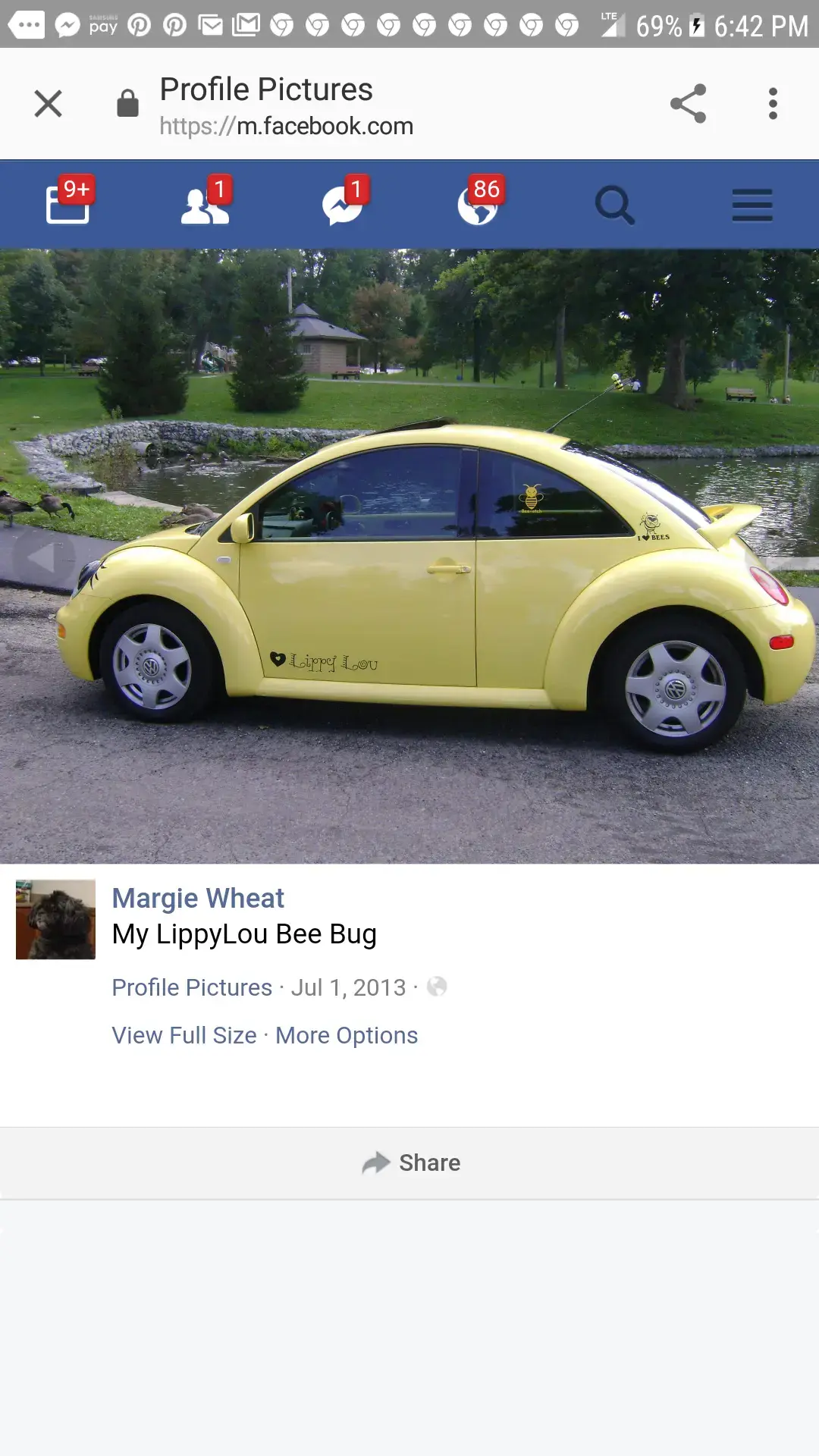 Lakeland Square Laundry 2 thumbnail 9