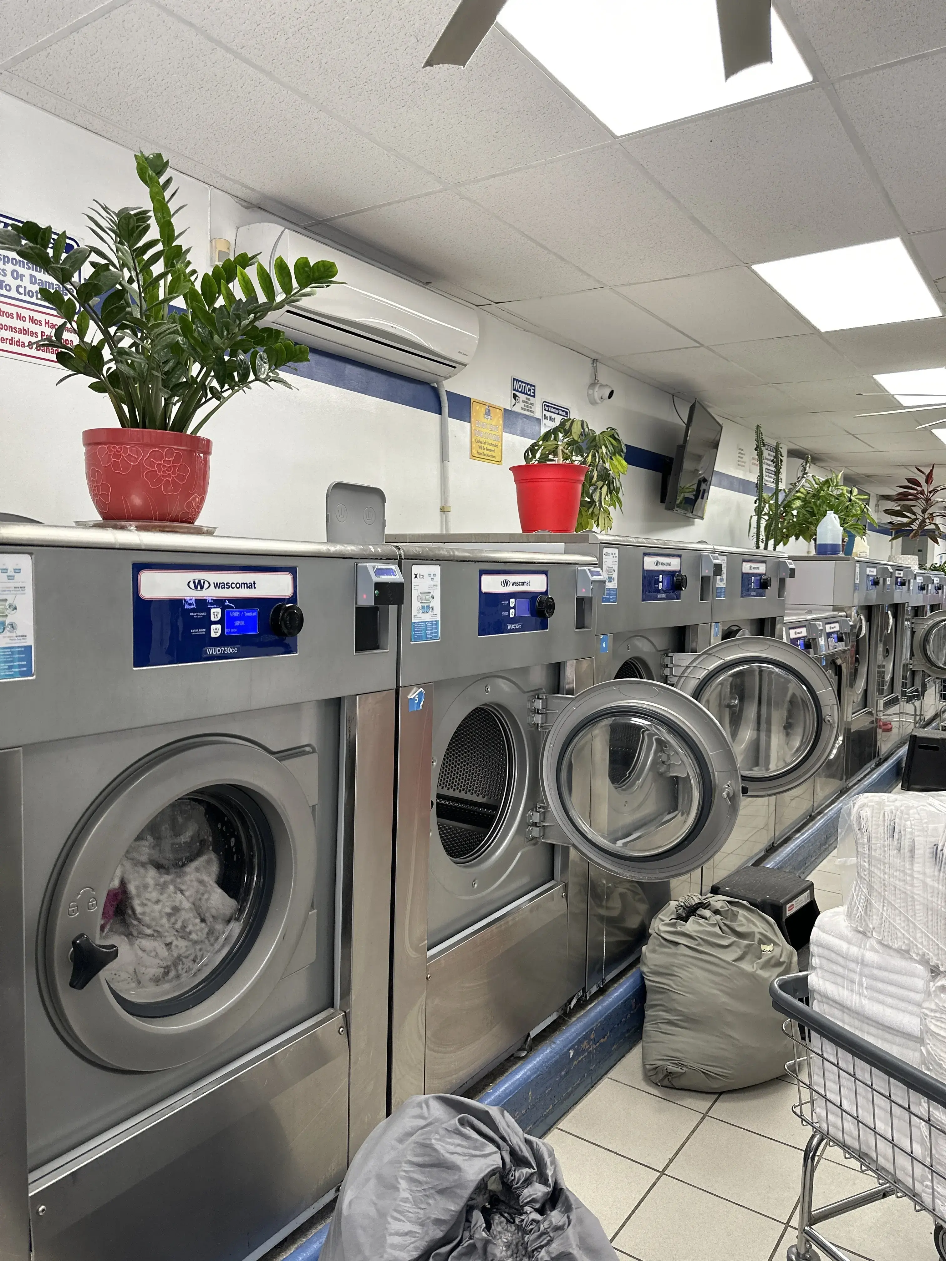 Laney's Laundry & Dry Clean - Image 2