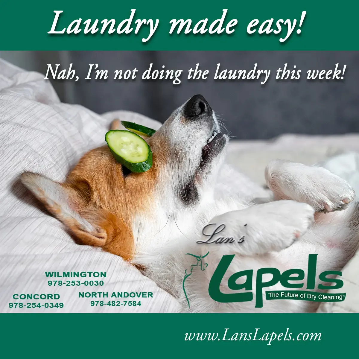 Lan's Lapels Cleaners - North Andover - Image 17
