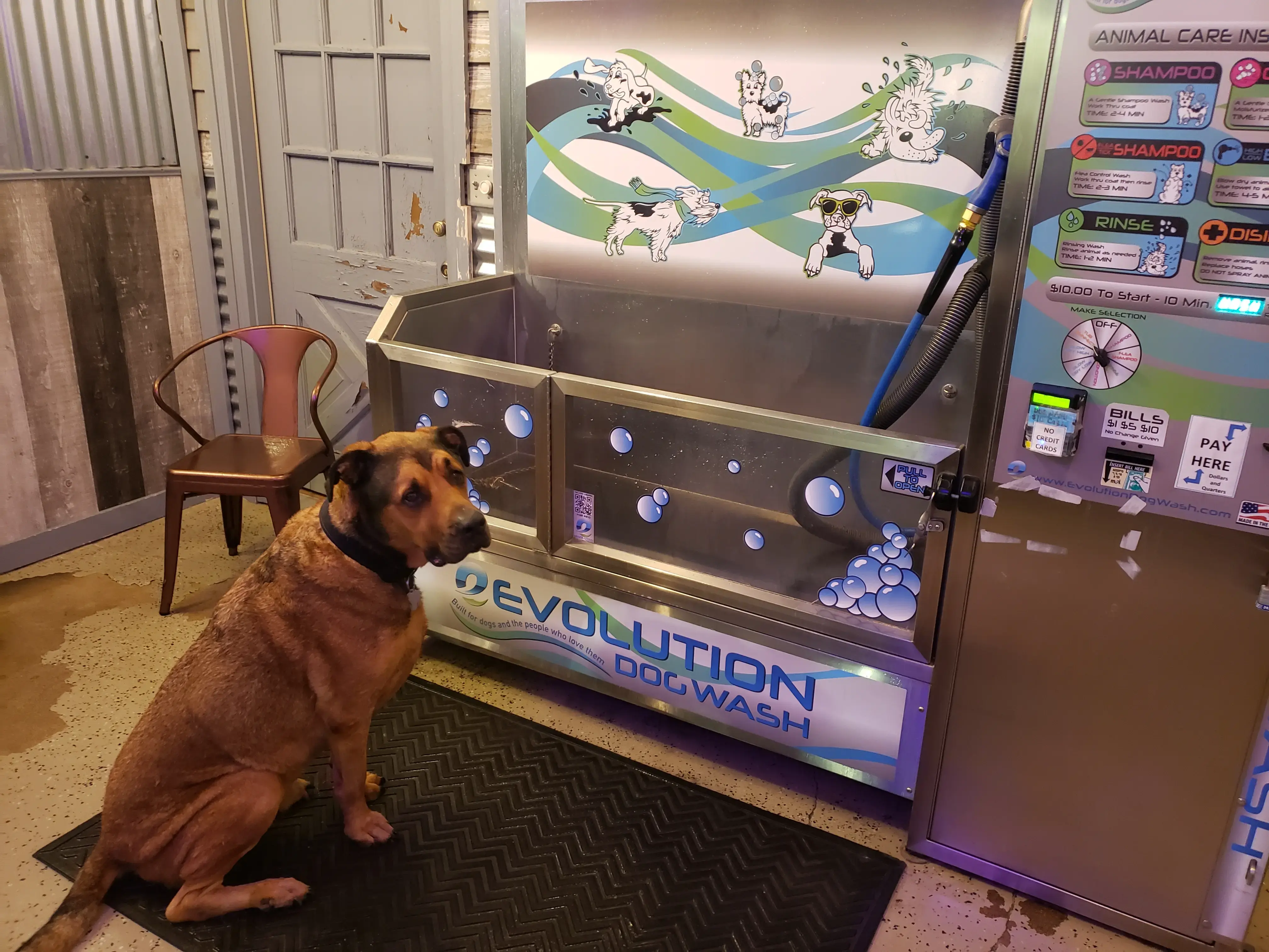 Lapel Laundry, Car Wash, and Dog Spa thumbnail 19