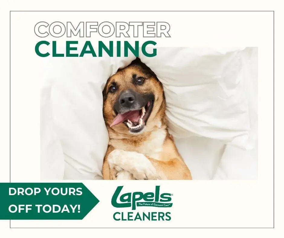 Lapels Cleaners thumbnail 12