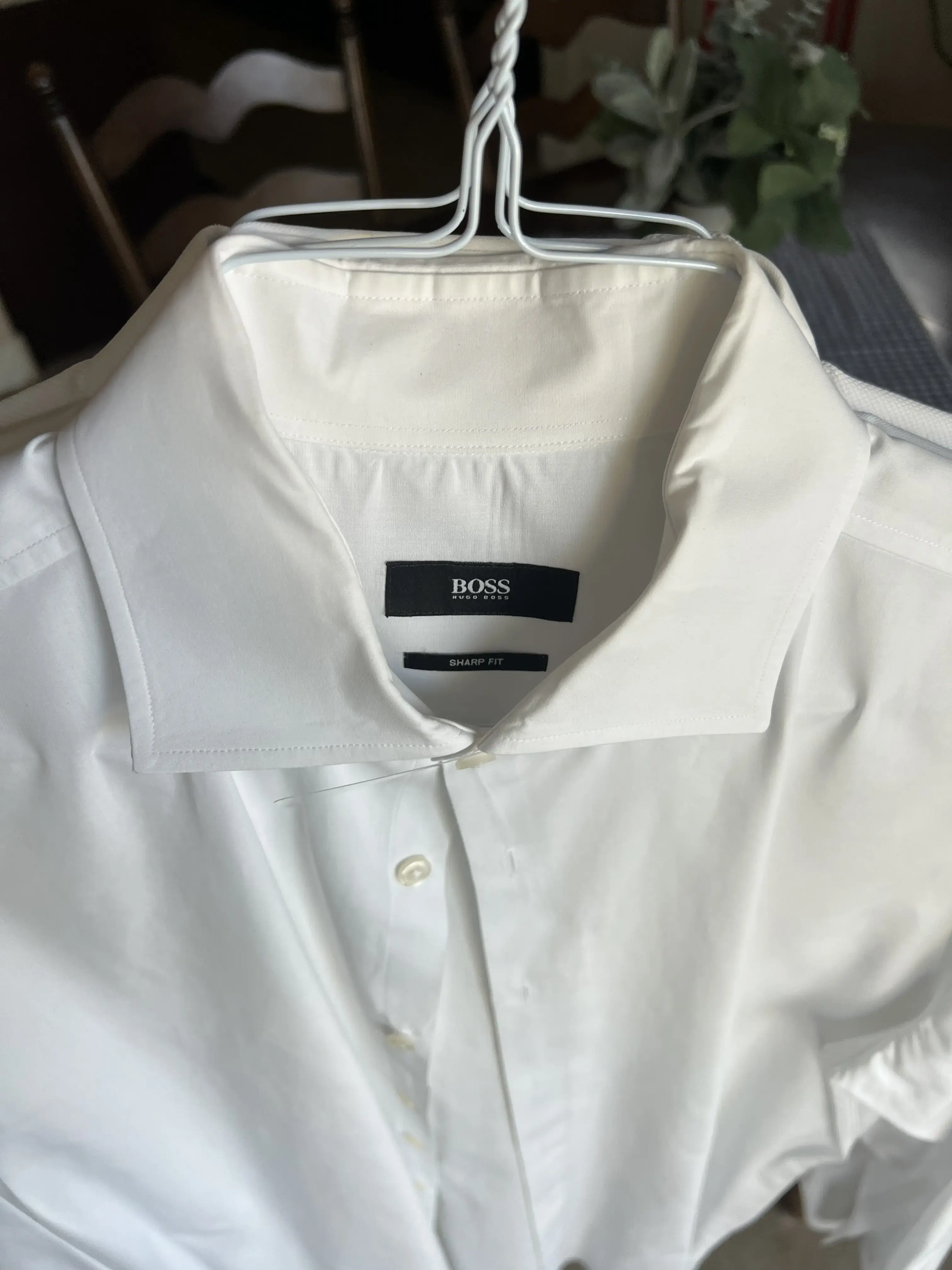 Lapels - Image 6