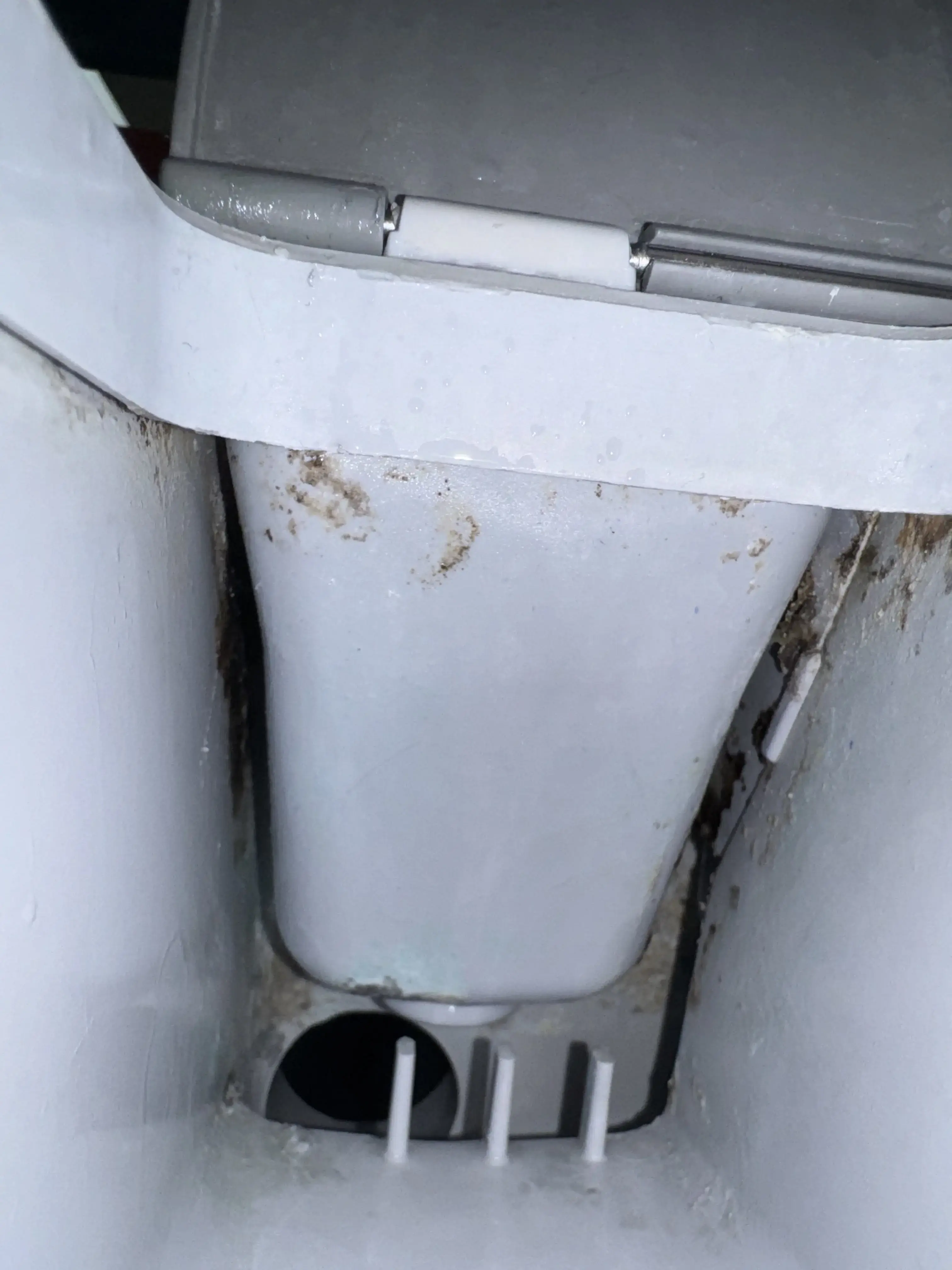 Launderland Coin Laundry DBA COIN Less LAUNDRY thumbnail 19