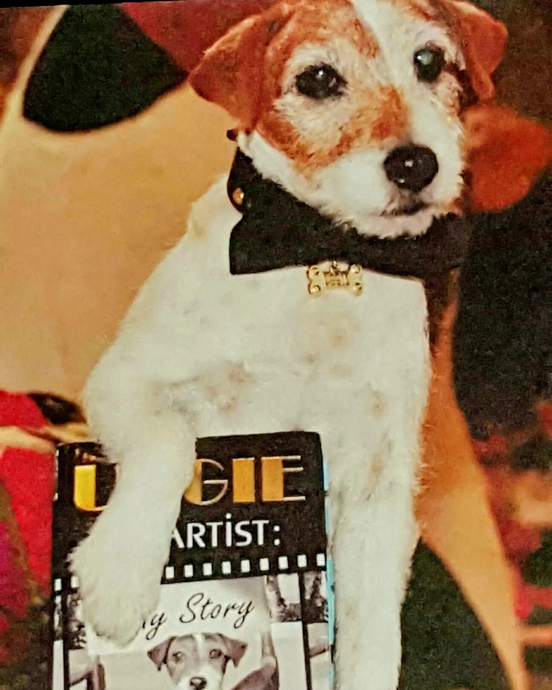 Launderland Coin Op Laundry thumbnail 17