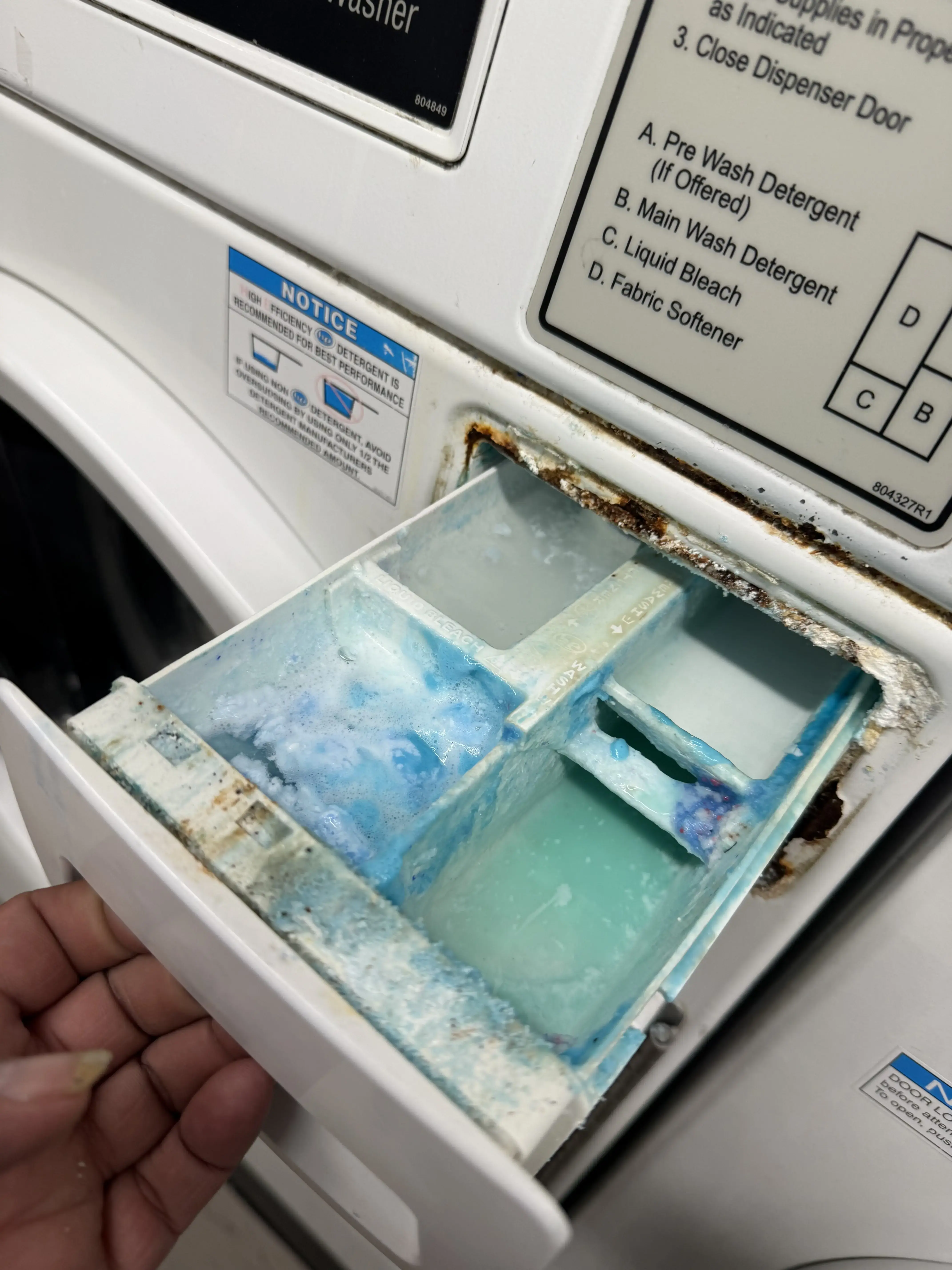 LaunderLand Coin Op Laundry thumbnail 6