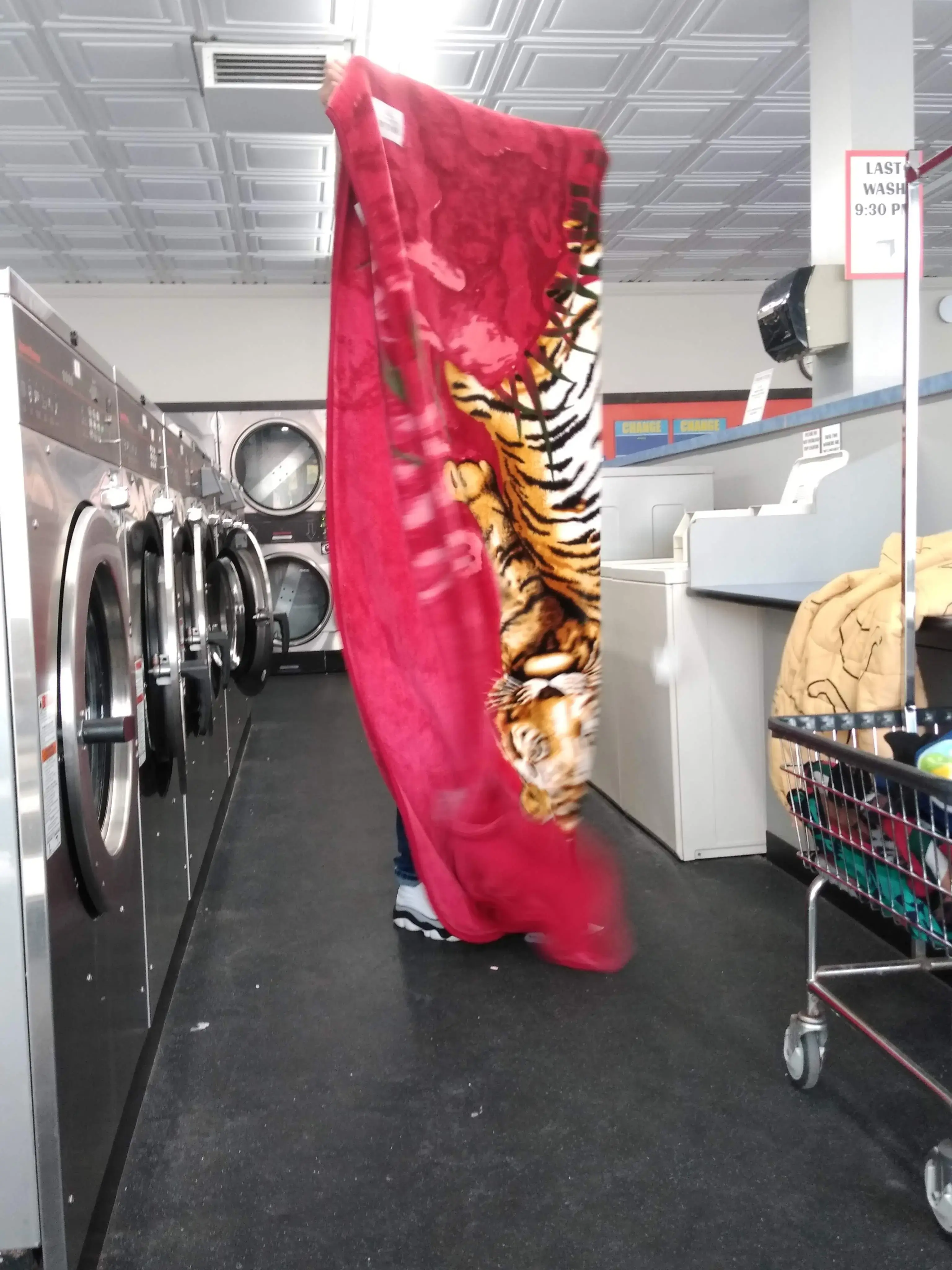 Launderland - Image 16