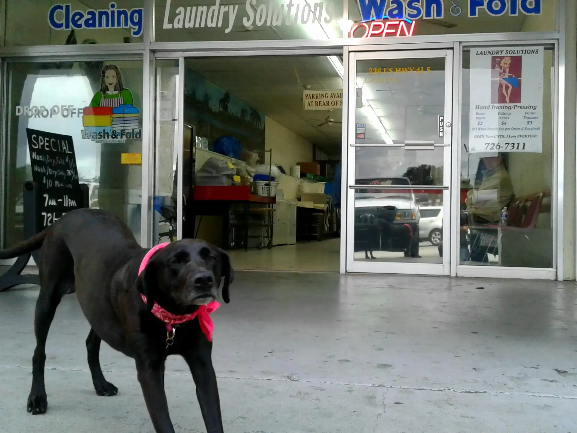 Launderland of Citrus/ Laundry Solutions - Image 6