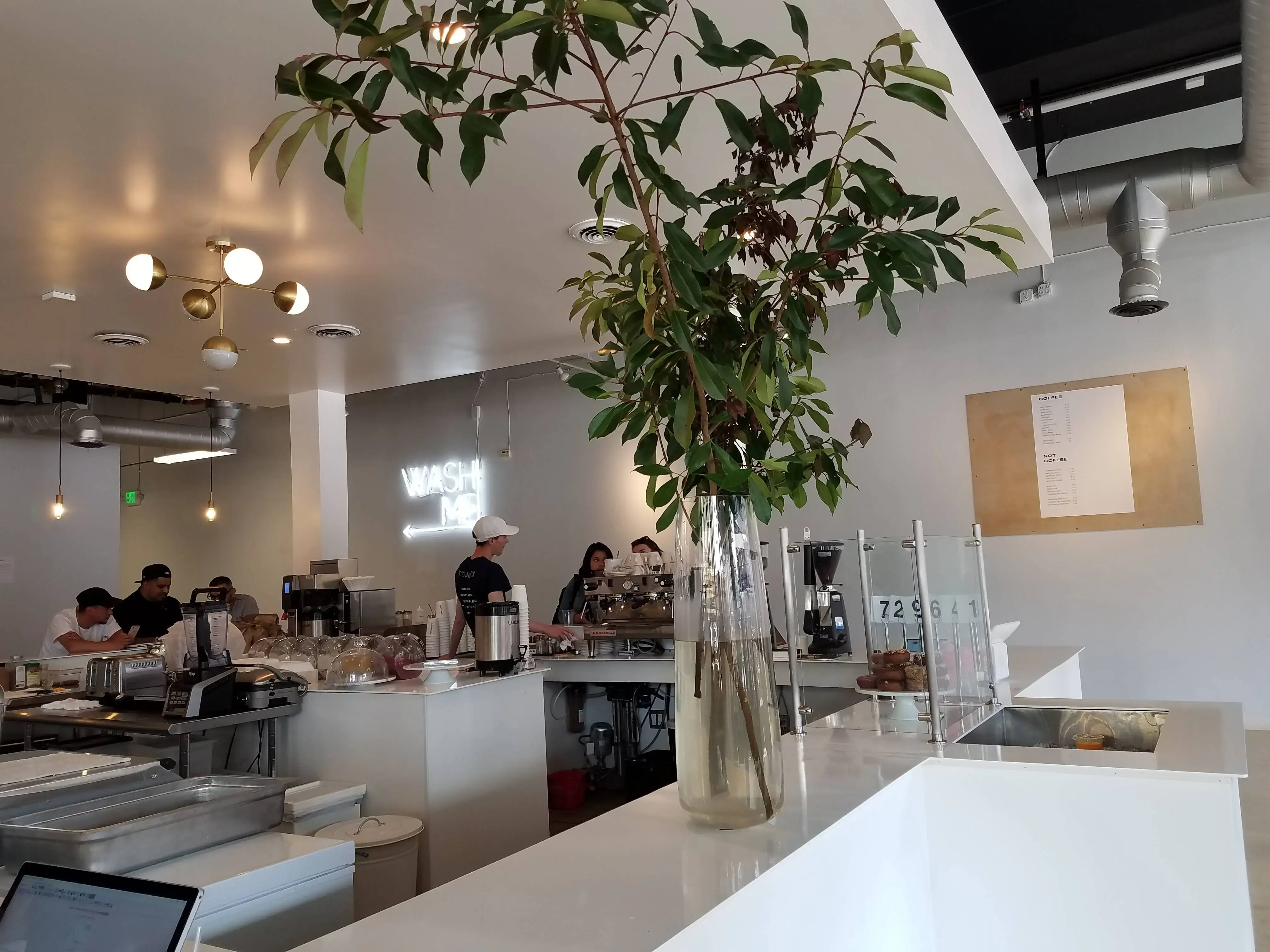 Laundré thumbnail 3