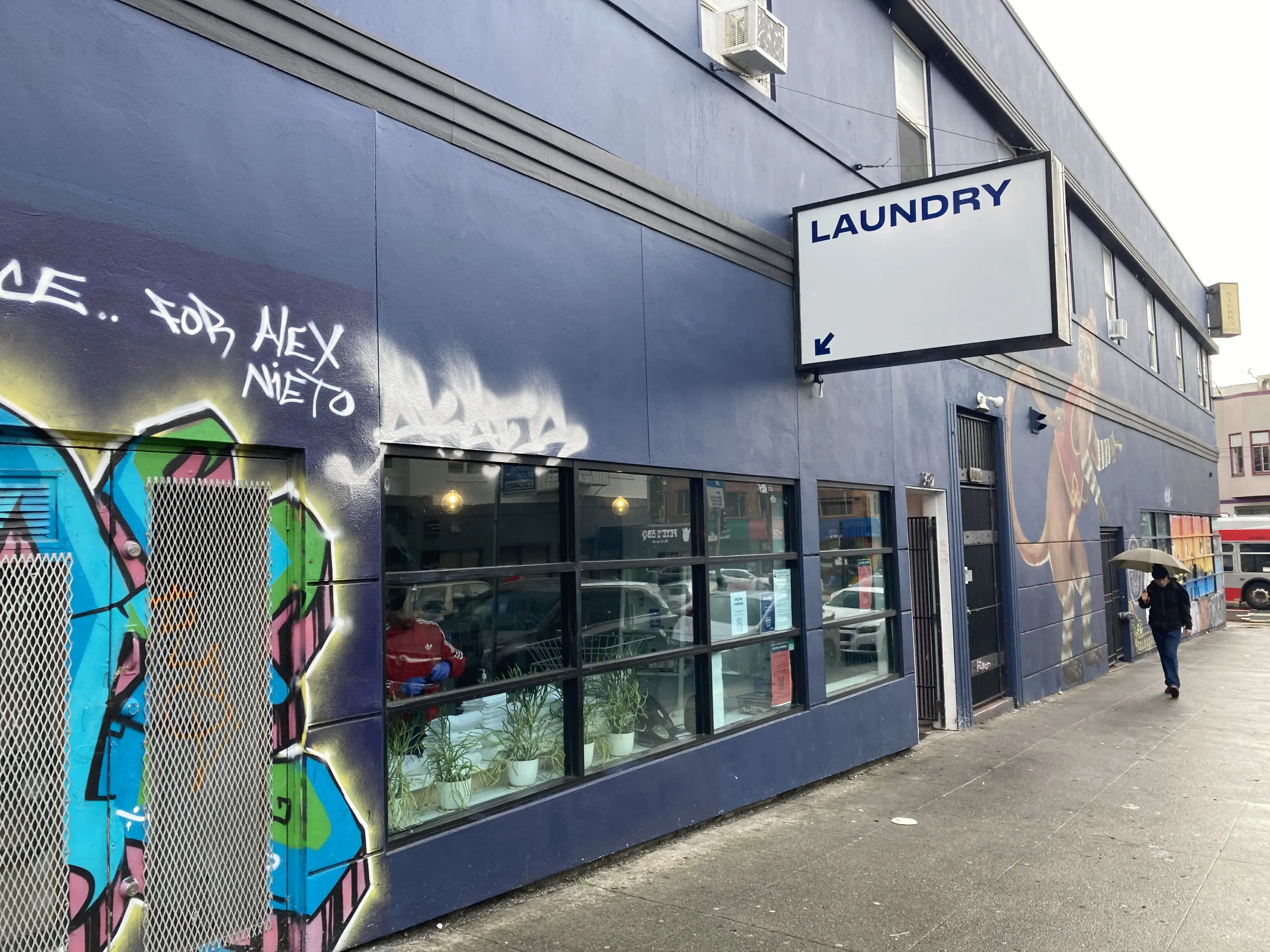 Laundré thumbnail 6