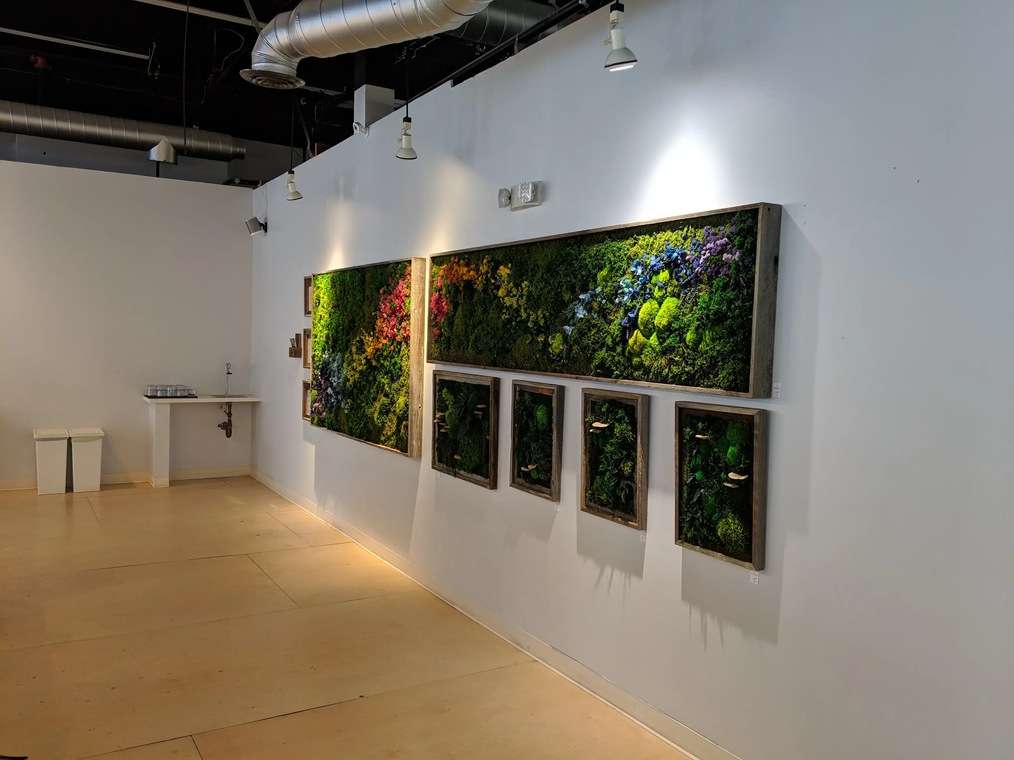 Laundré thumbnail 20