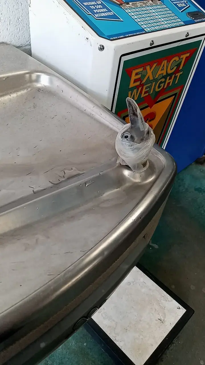 Laundra Brite LLC thumbnail 12