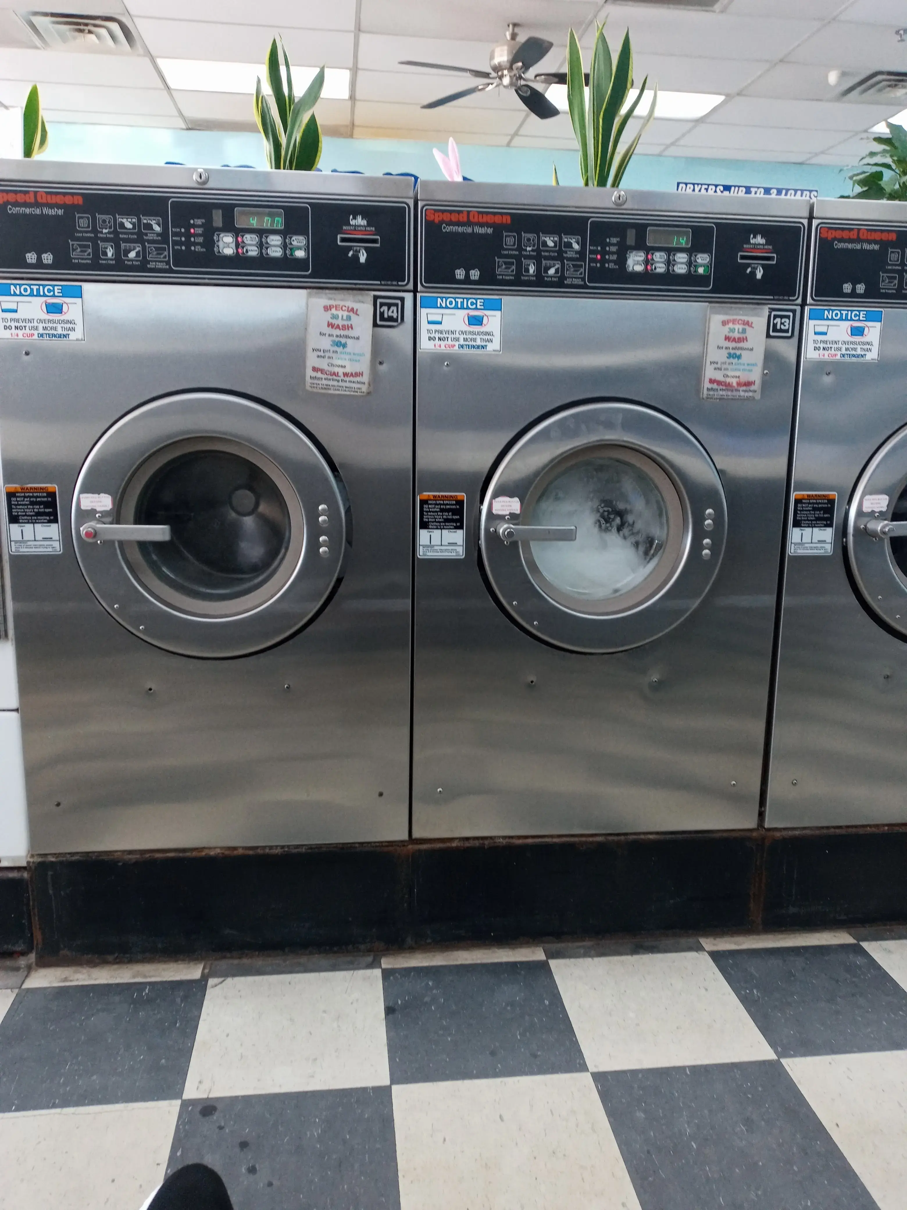 Laundromat Palace thumbnail 4