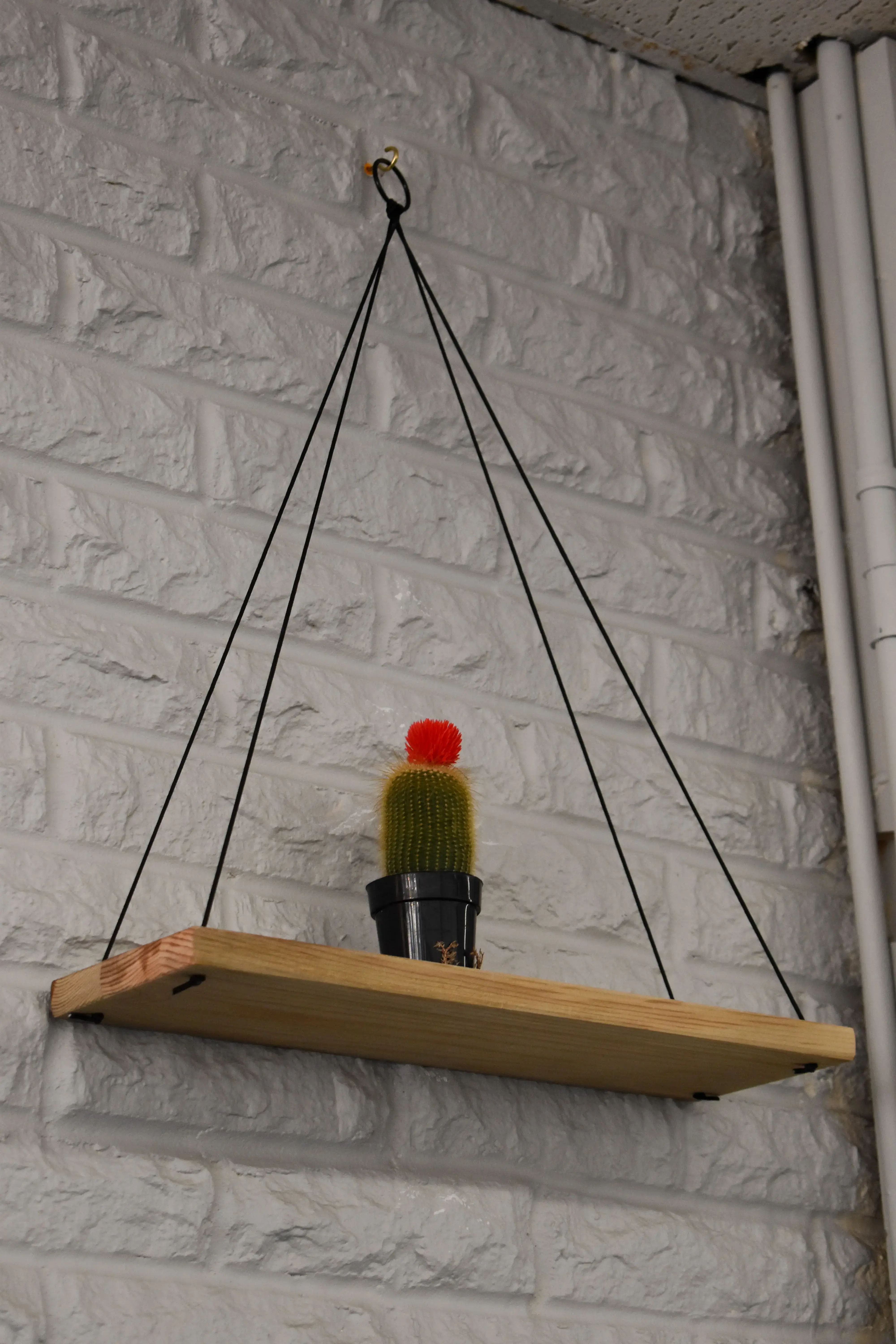 Laundromat Plus - Image 16