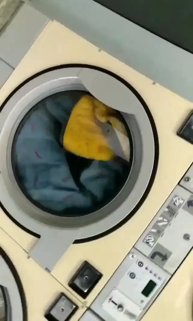 Laundromat thumbnail 7