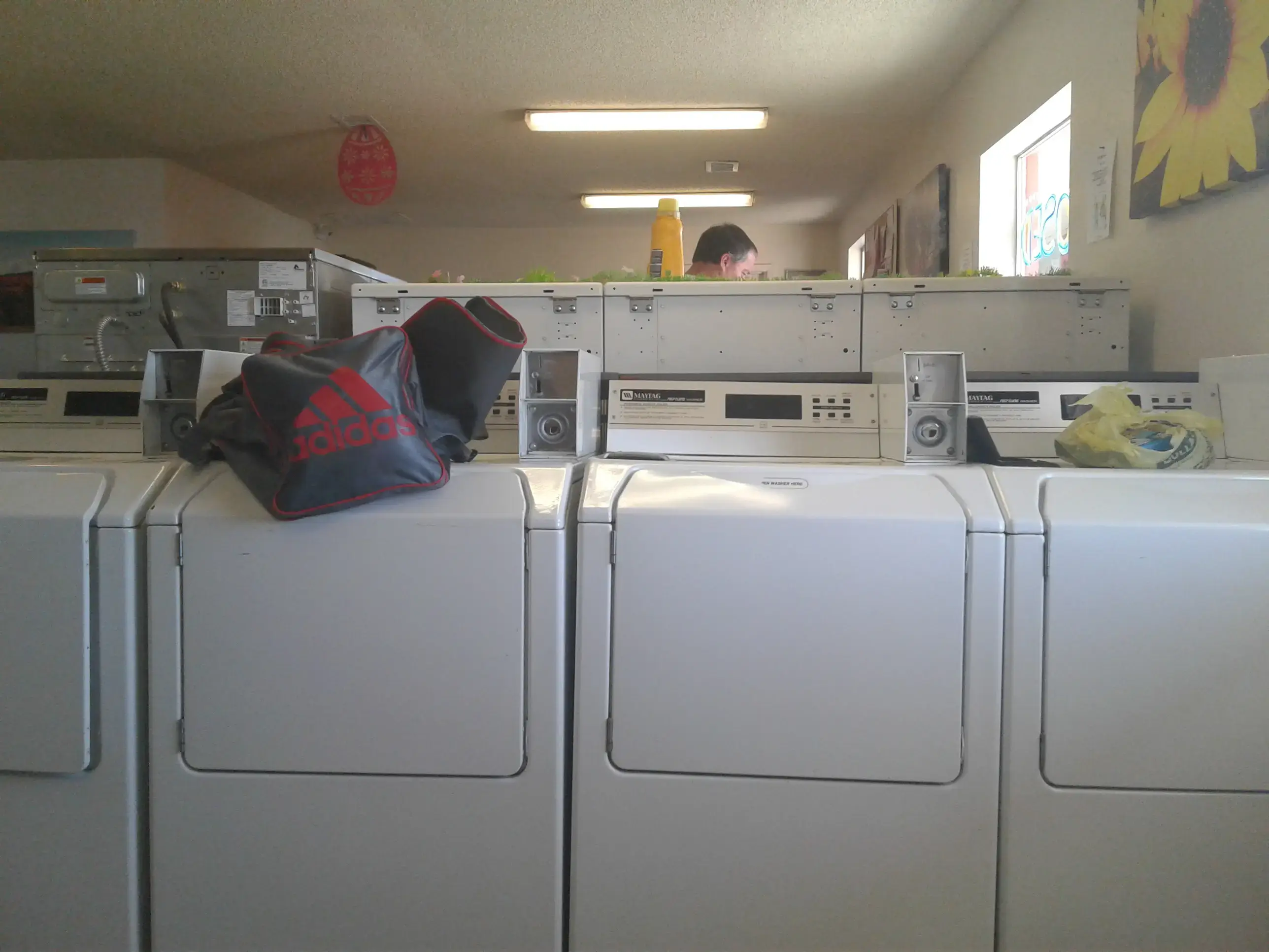 LaundroMax thumbnail 9