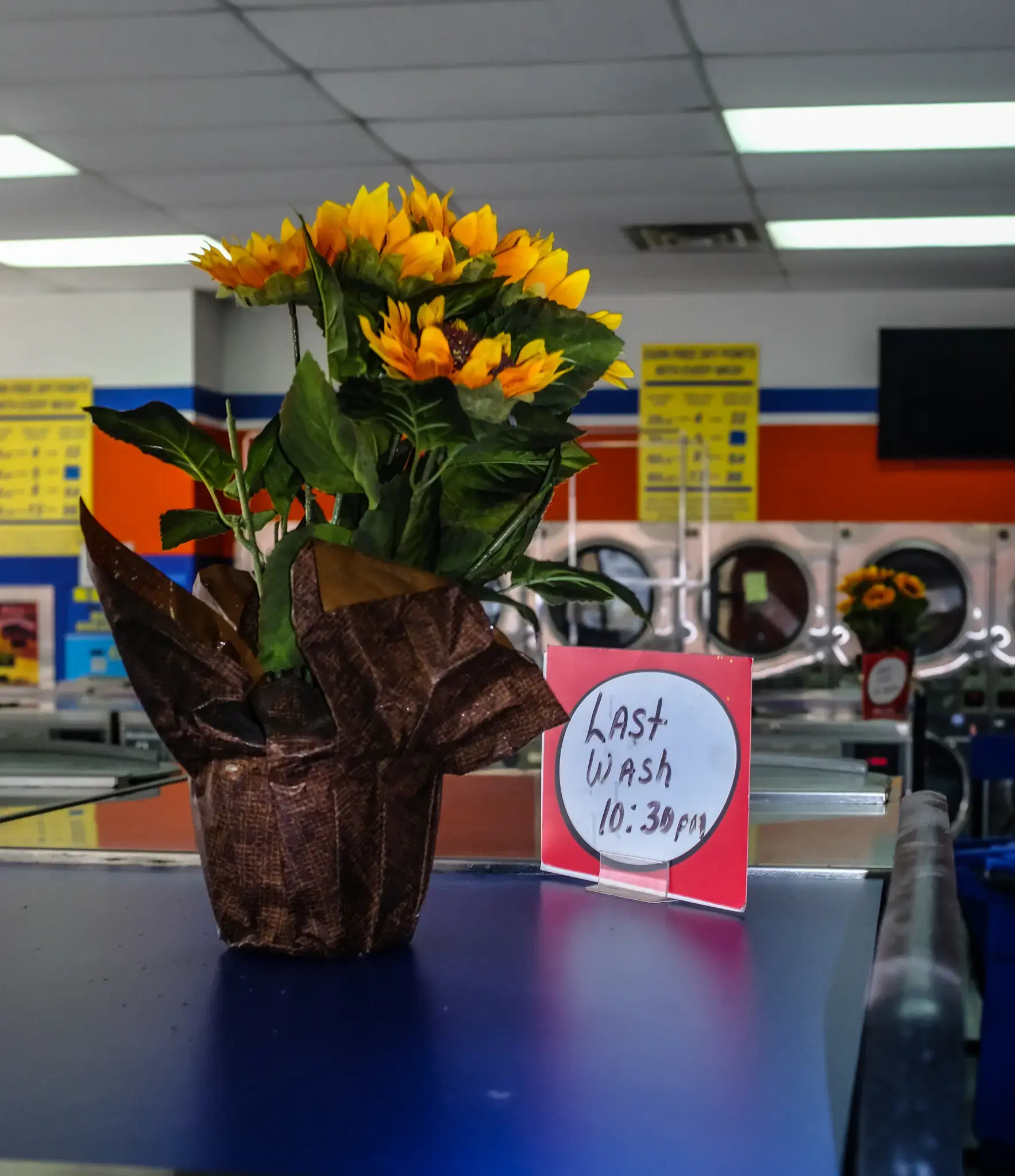 Laundromax - Image 7