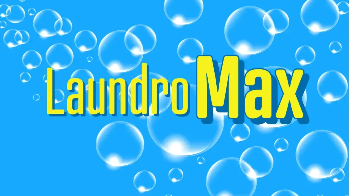 LaundroMax thumbnail 5