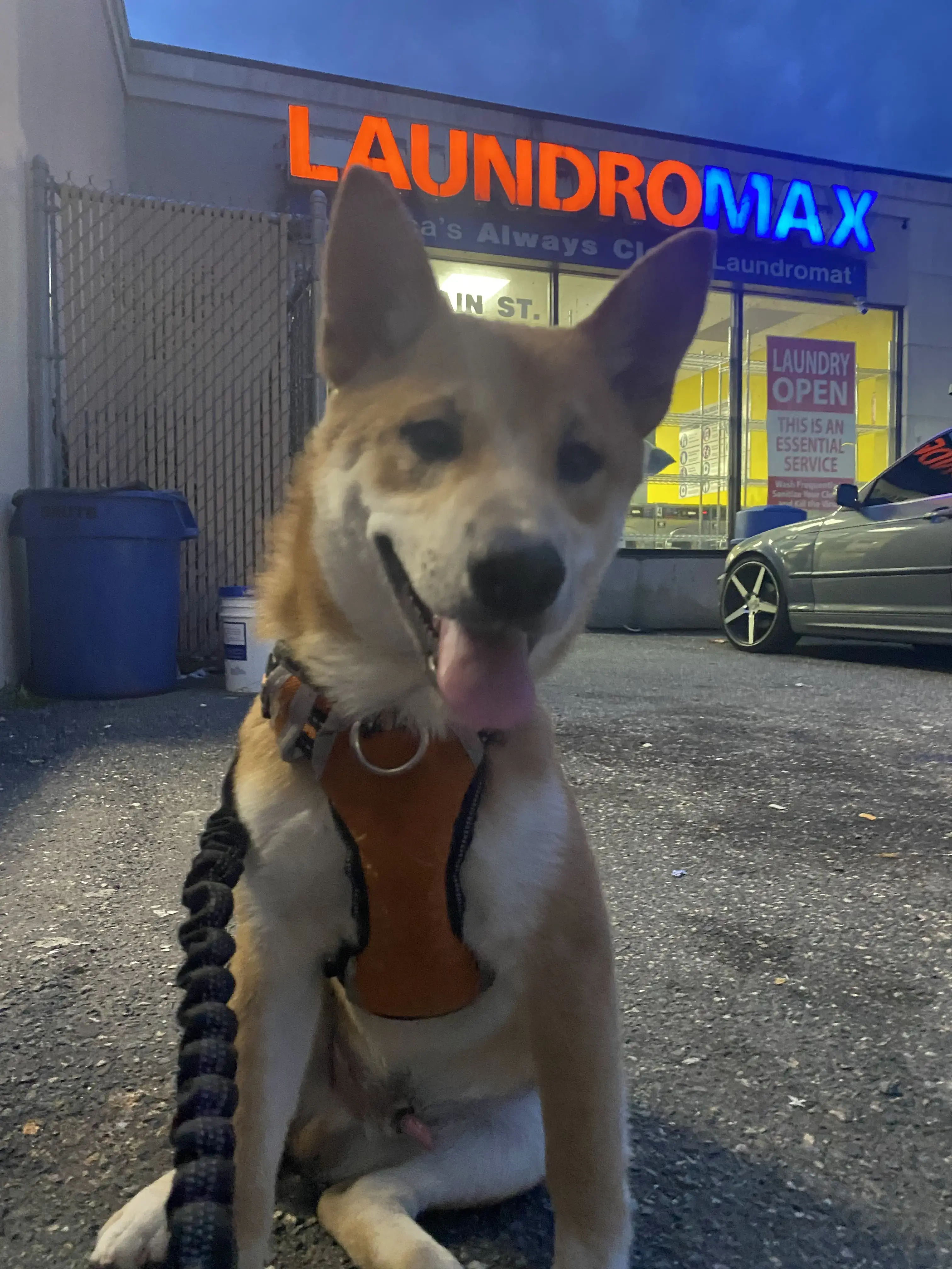 Laundromax thumbnail 18