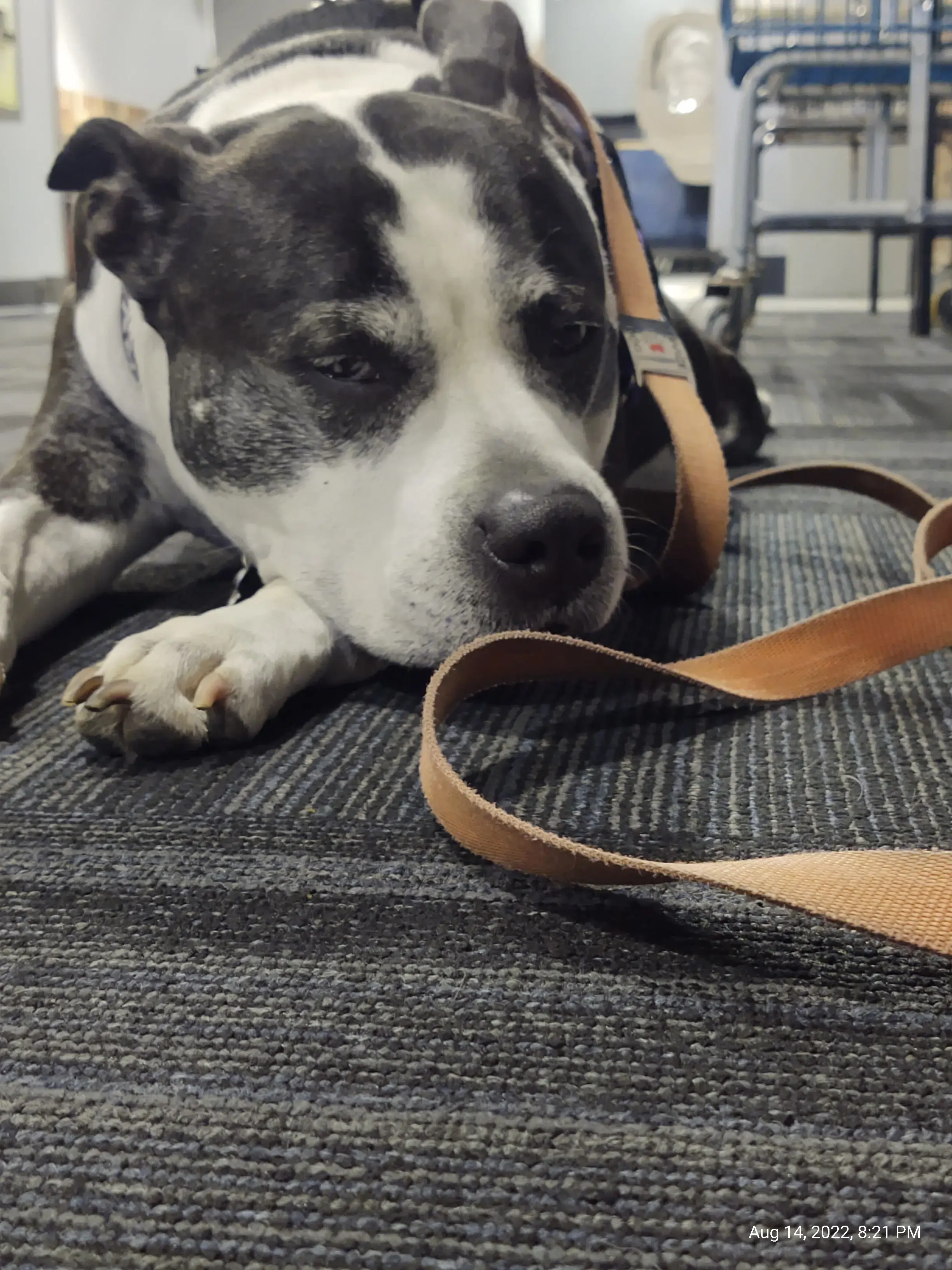 Laundry 101 & Bar - Image 17