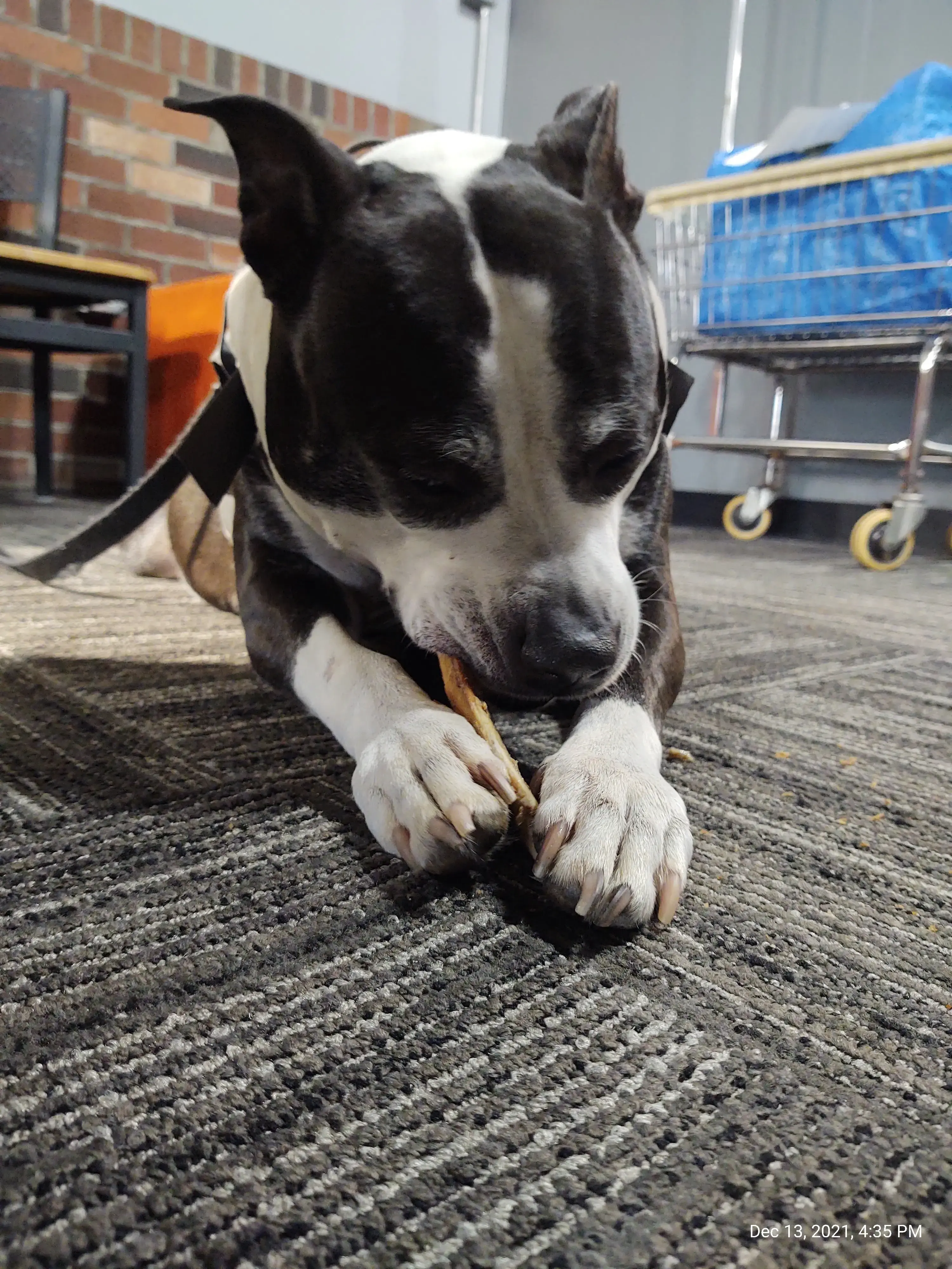 Laundry 101 & Bar thumbnail 5