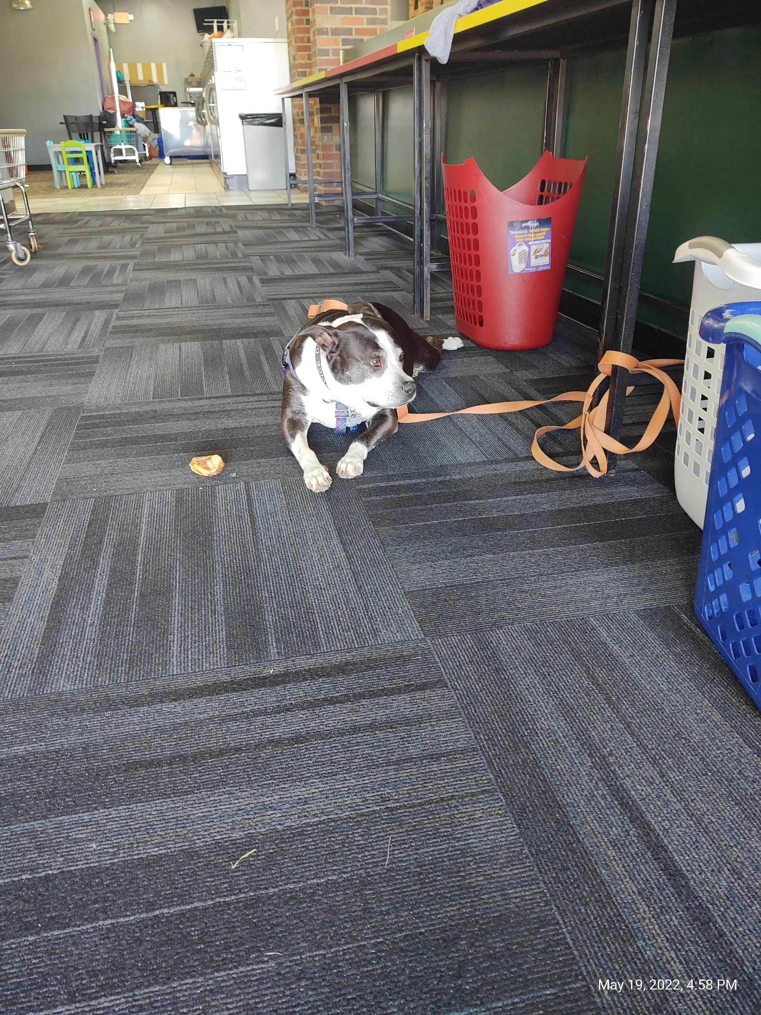 Laundry 101 & Bar - Image 12