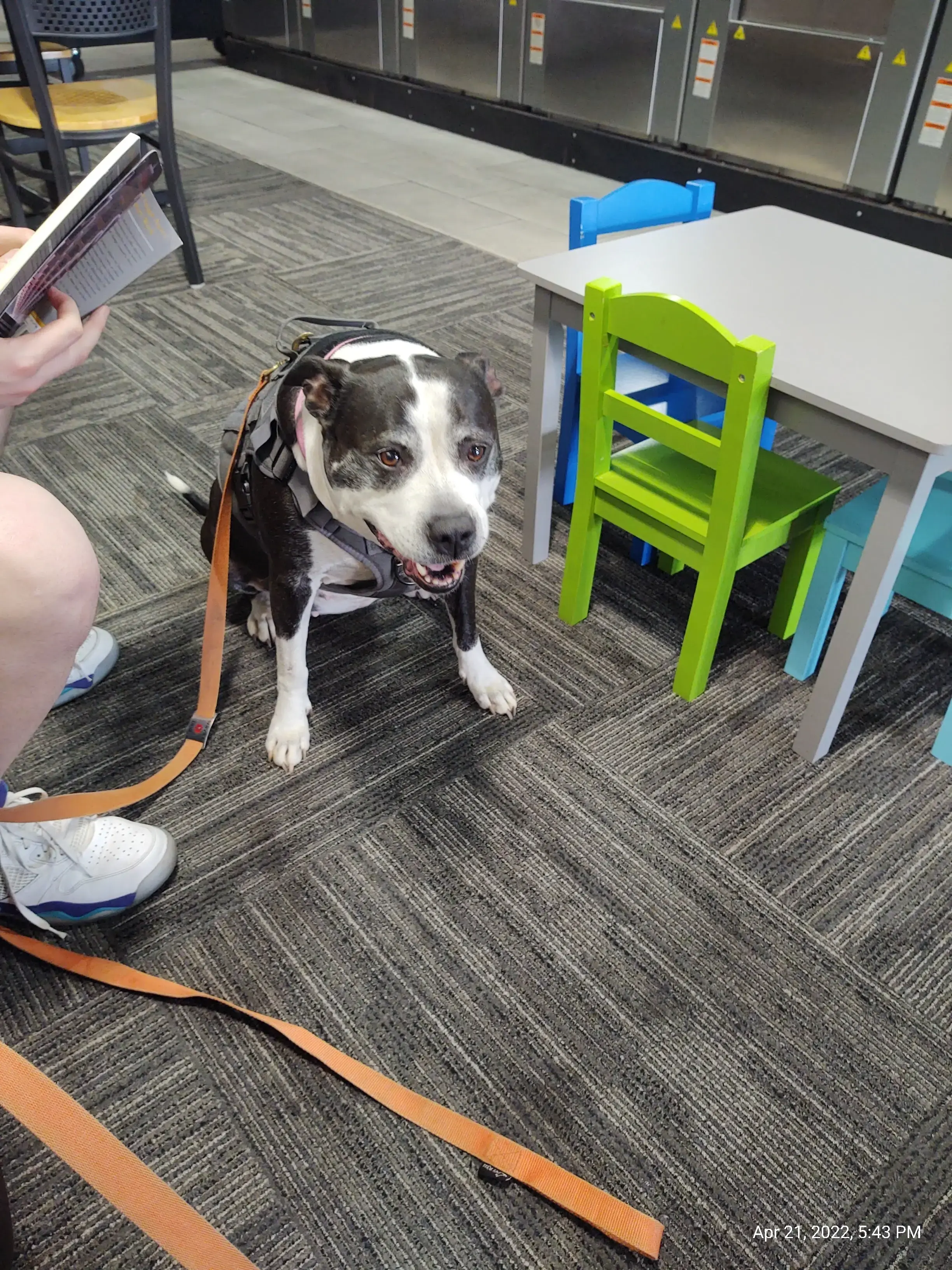 Laundry 101 & Bar thumbnail 11