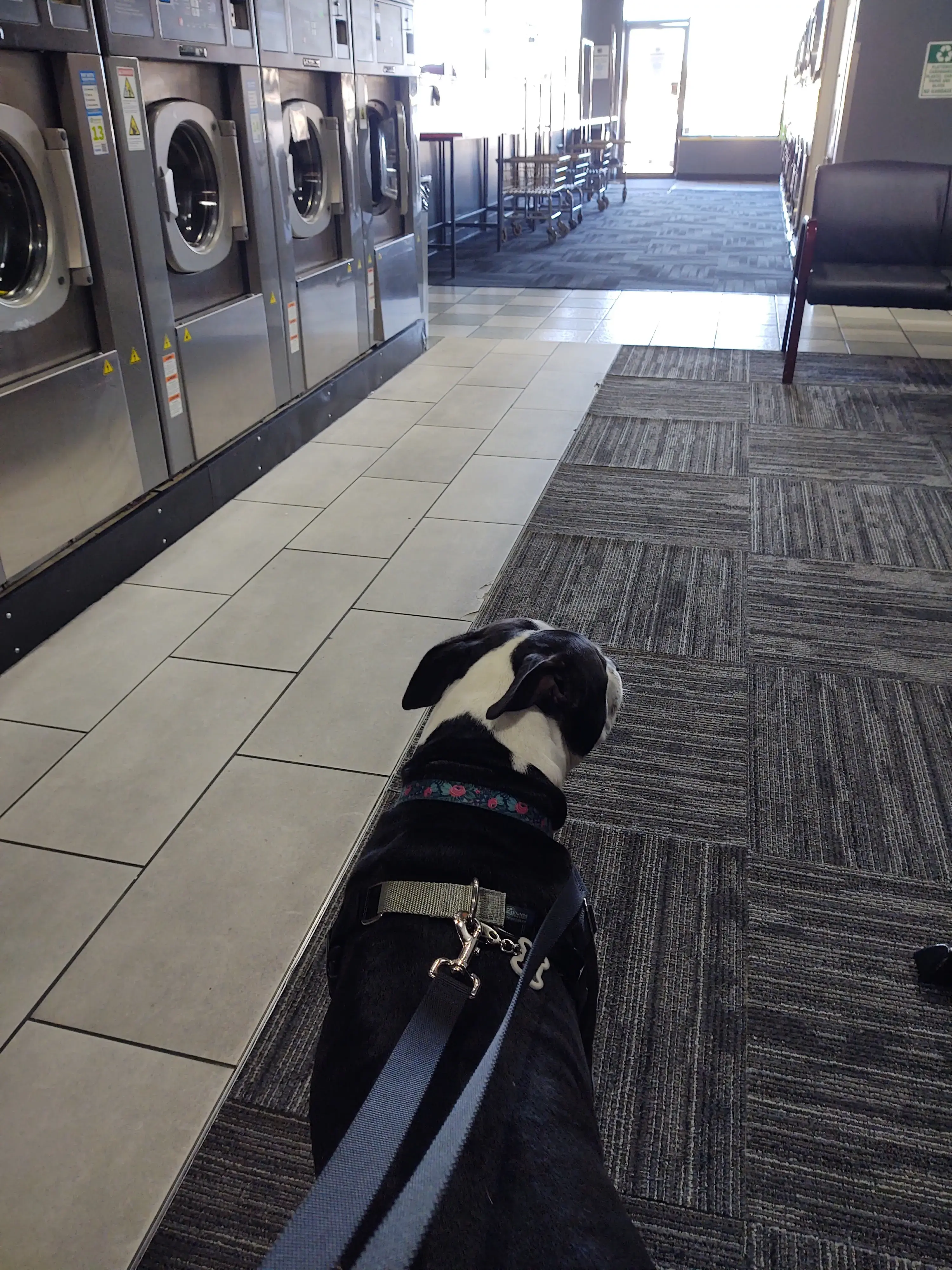 Laundry 101 & Bar thumbnail 7