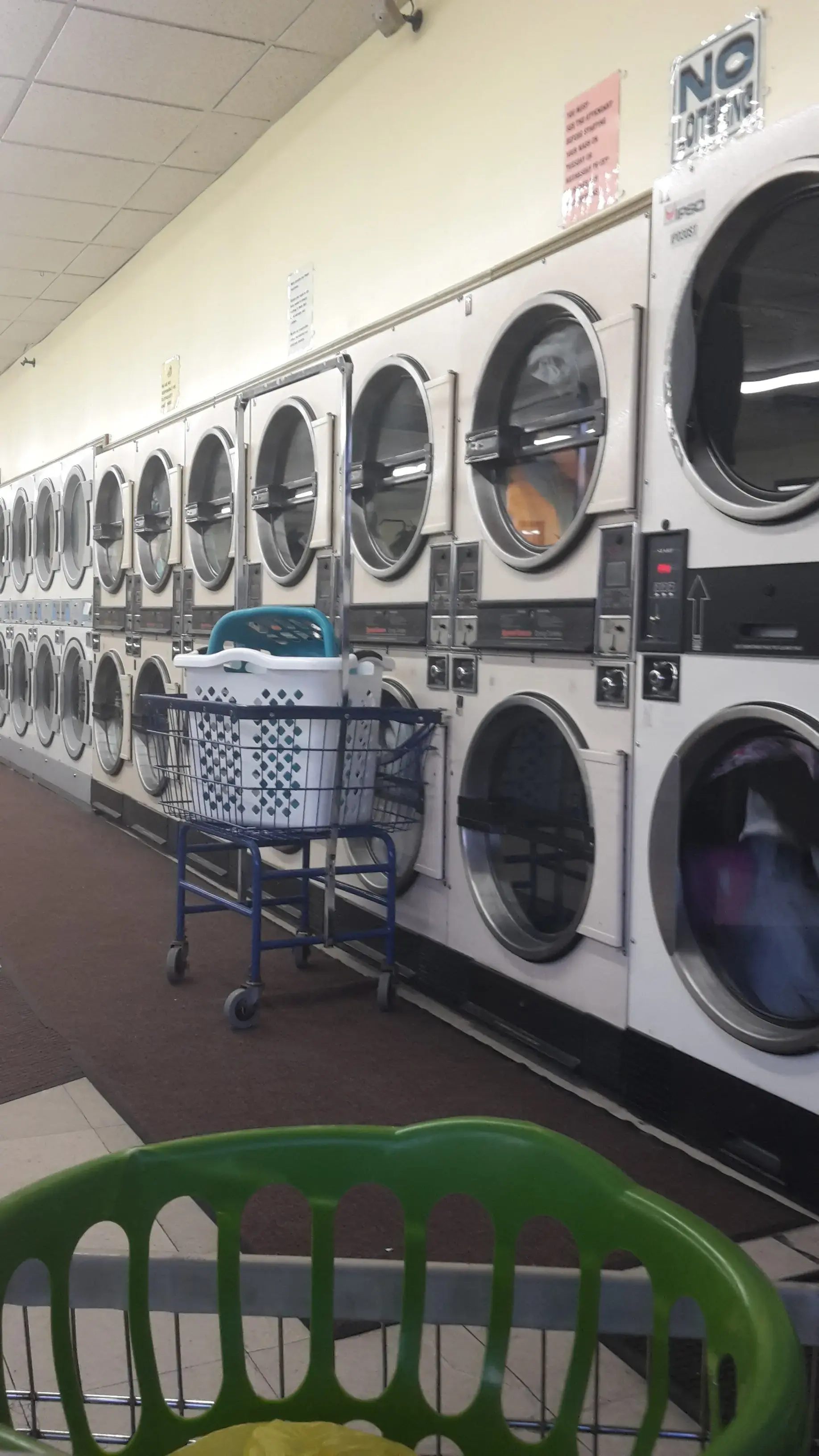 Laundry Bag Inc thumbnail 4