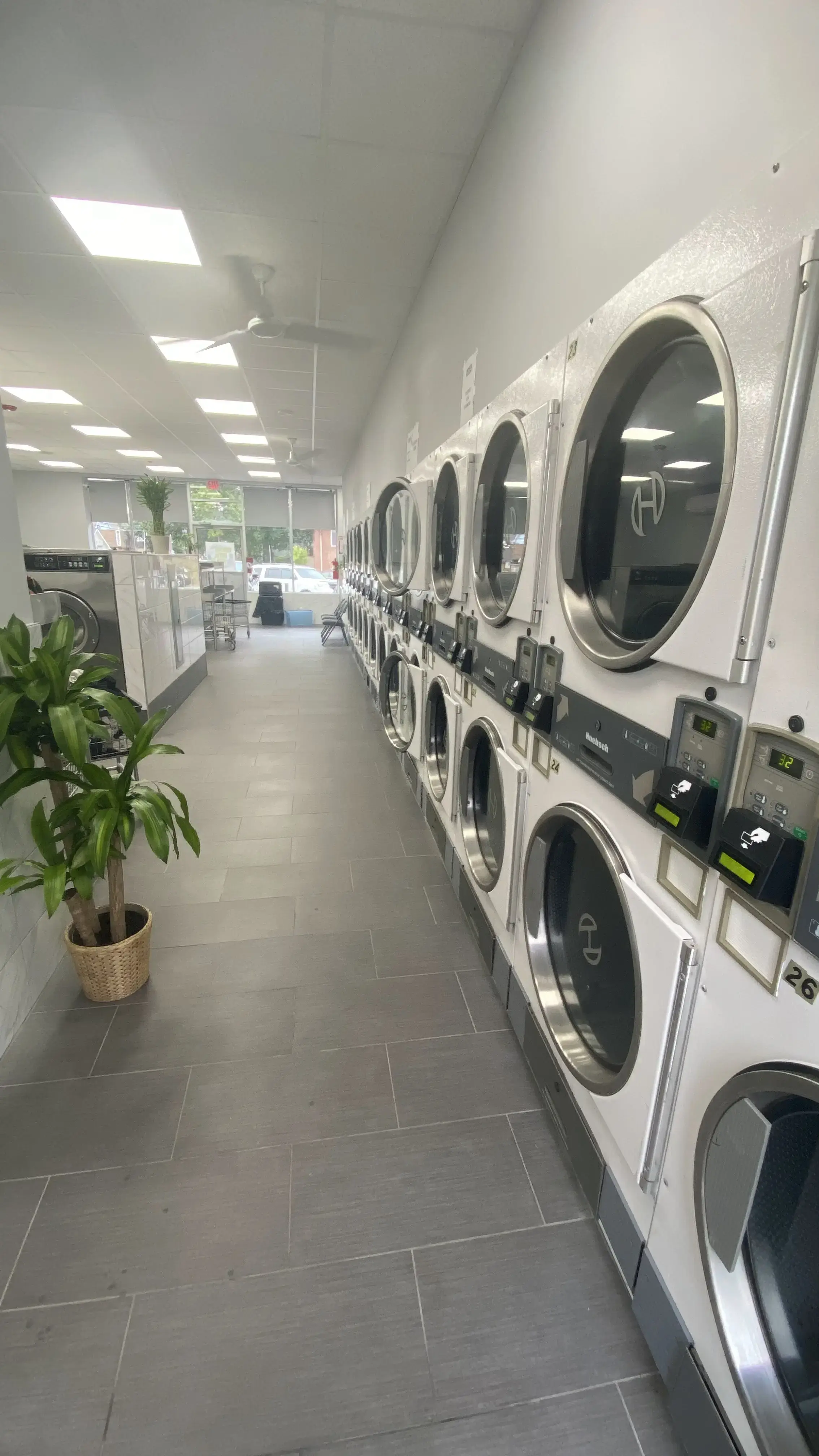 Laundry Care IV thumbnail 3