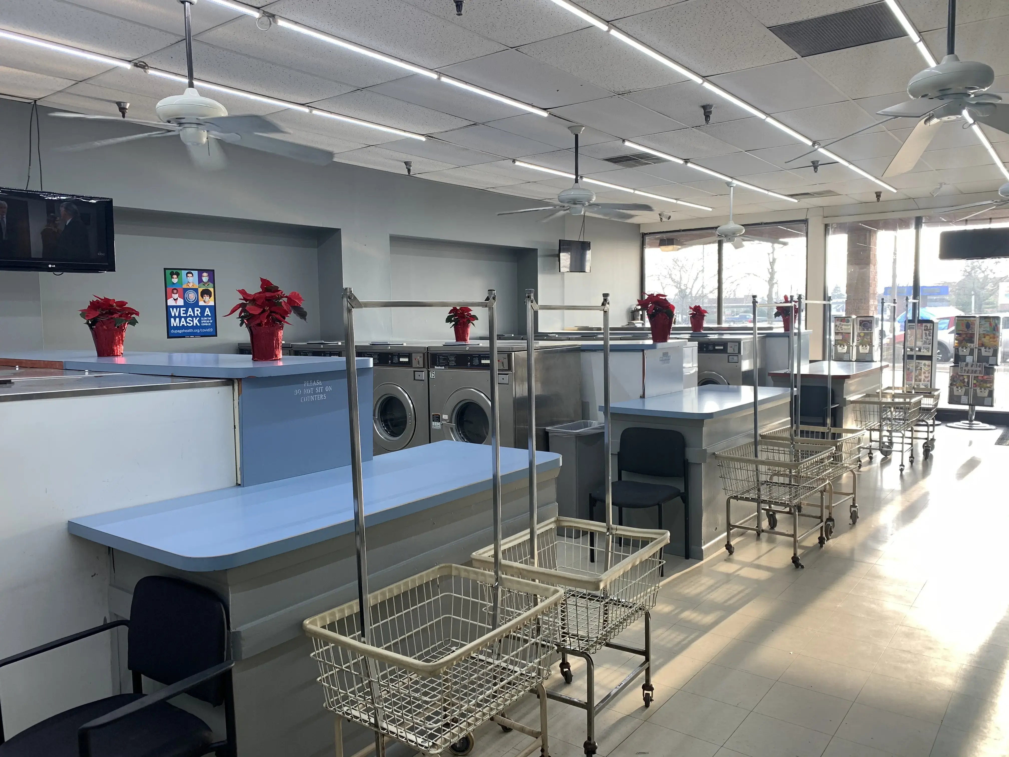 Laundry City Express thumbnail 1