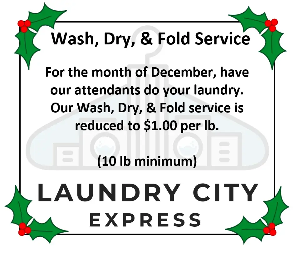 Laundry City Express thumbnail 20