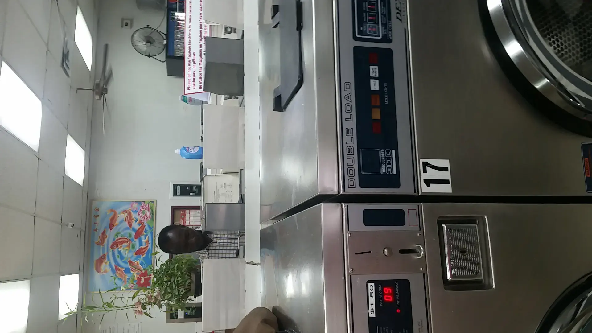 Laundry City - Image 11