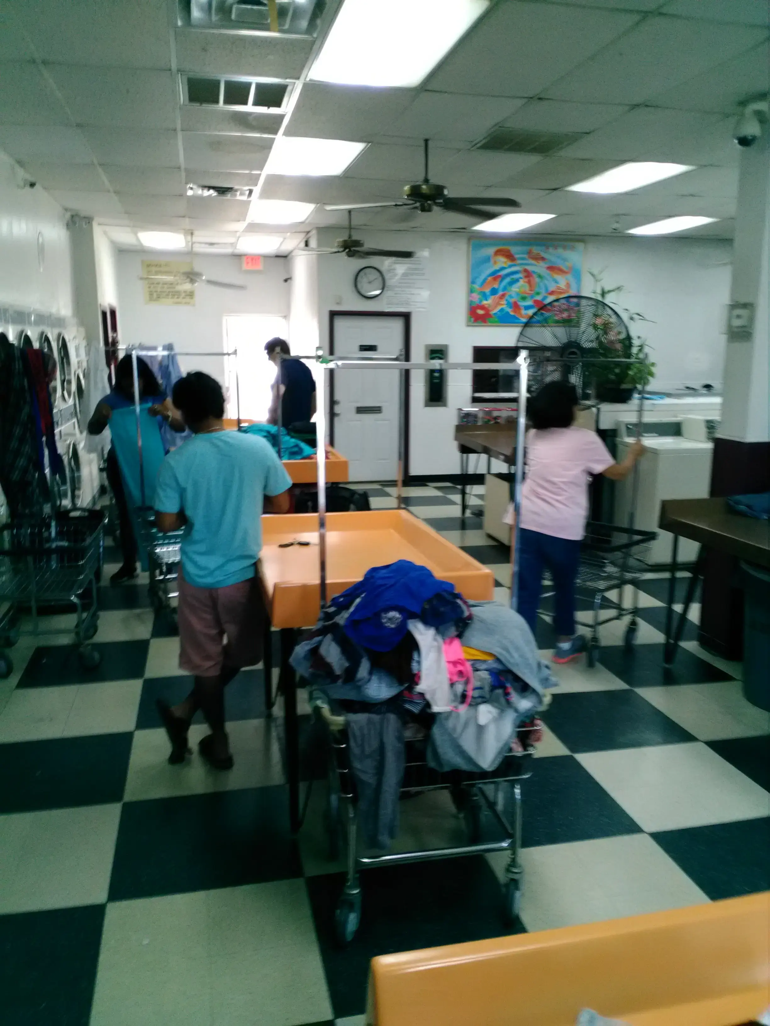Laundry City - Image 4