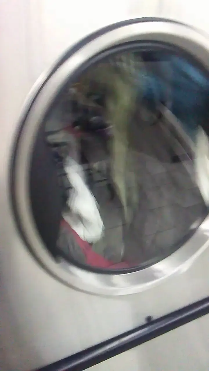 Laundry City thumbnail 20