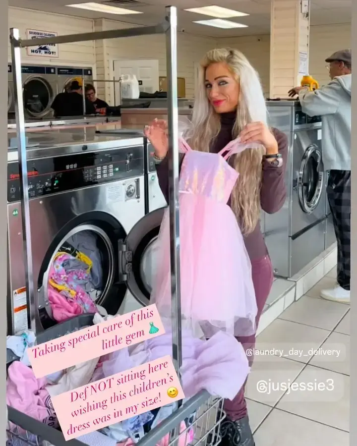 Laundry Day Delivery thumbnail 5