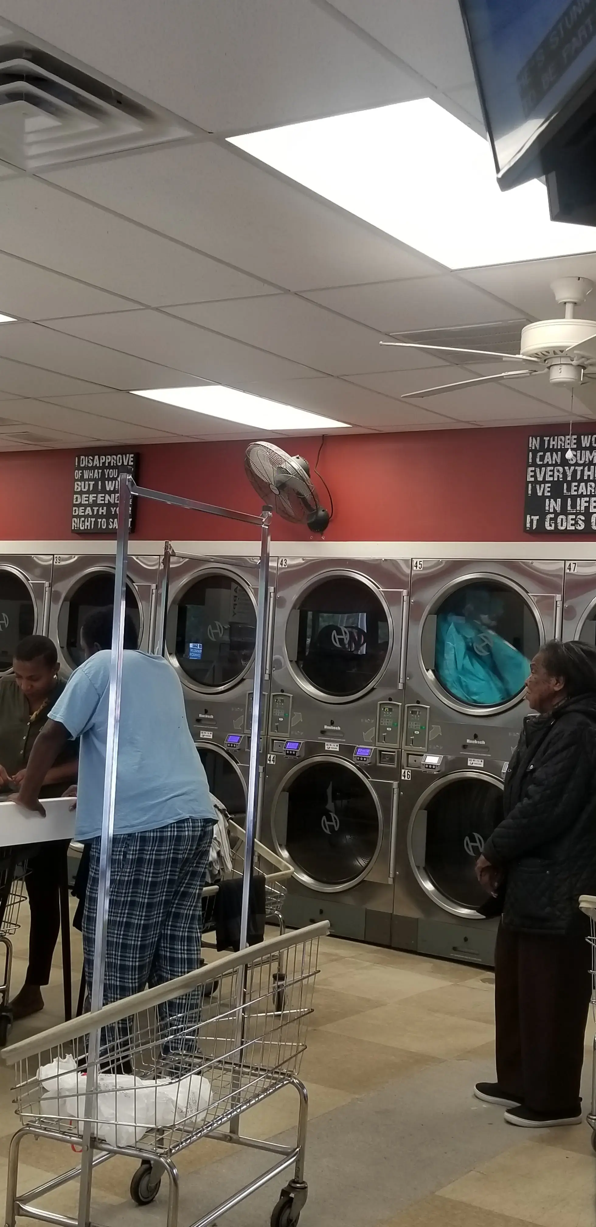 Laundry Day Inc. thumbnail 7