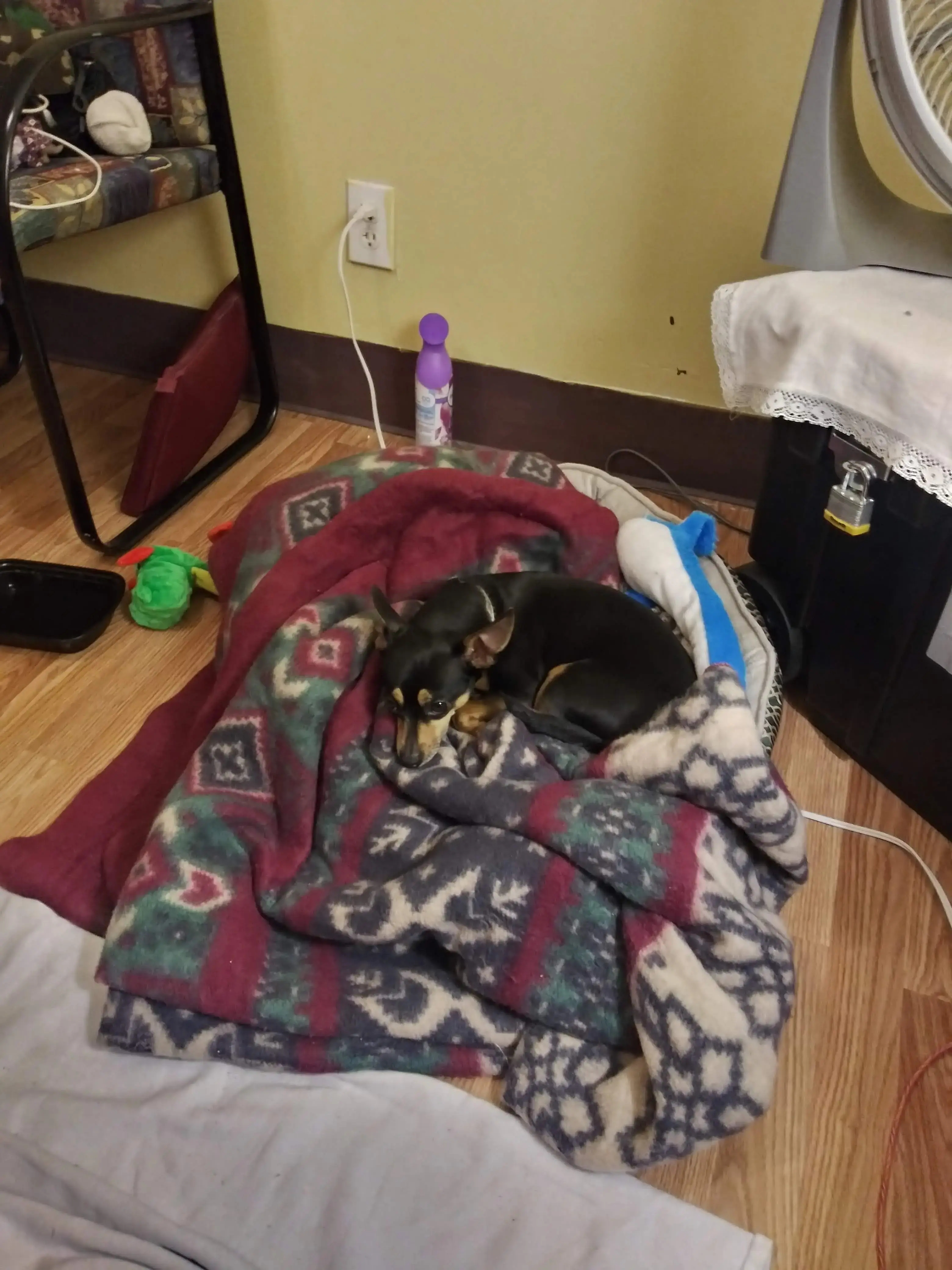 Laundry Day Inc. thumbnail 19