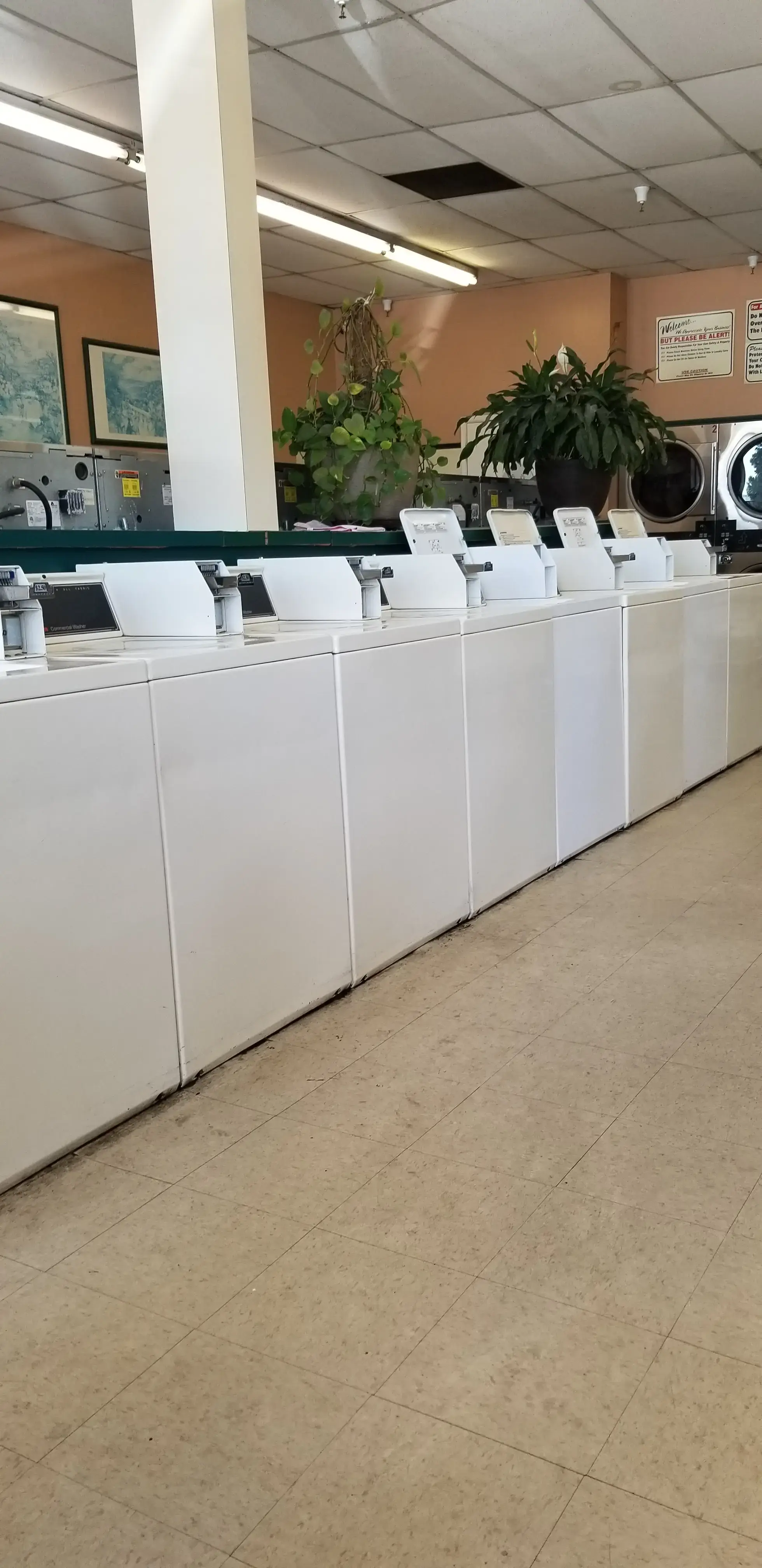 Laundry Day - Image 8