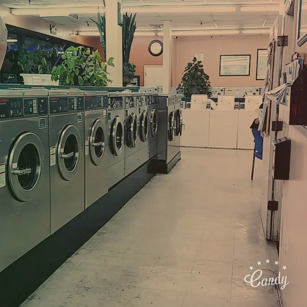Laundry Day - Image 11