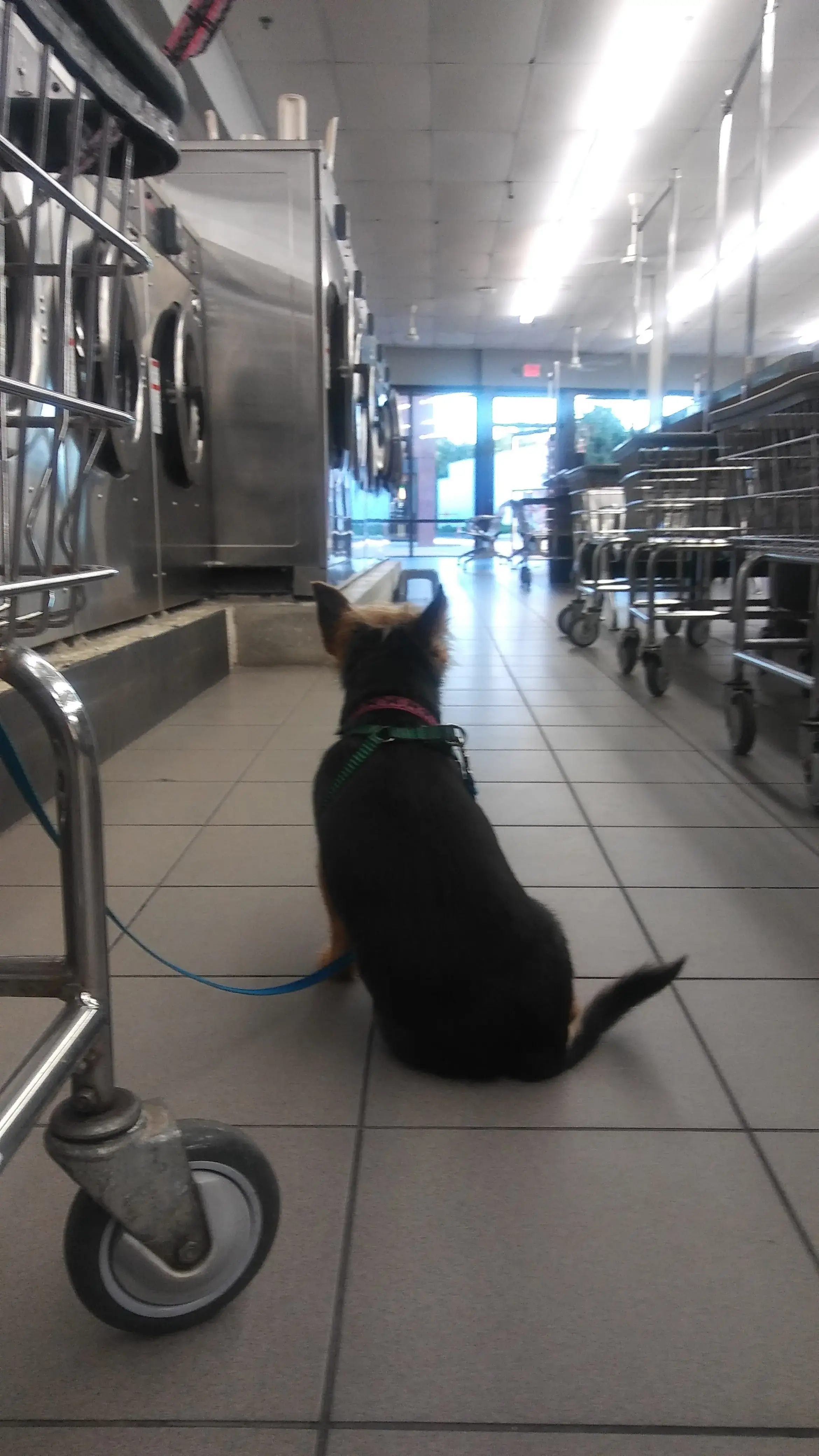 Laundry Depot East Islip thumbnail 18