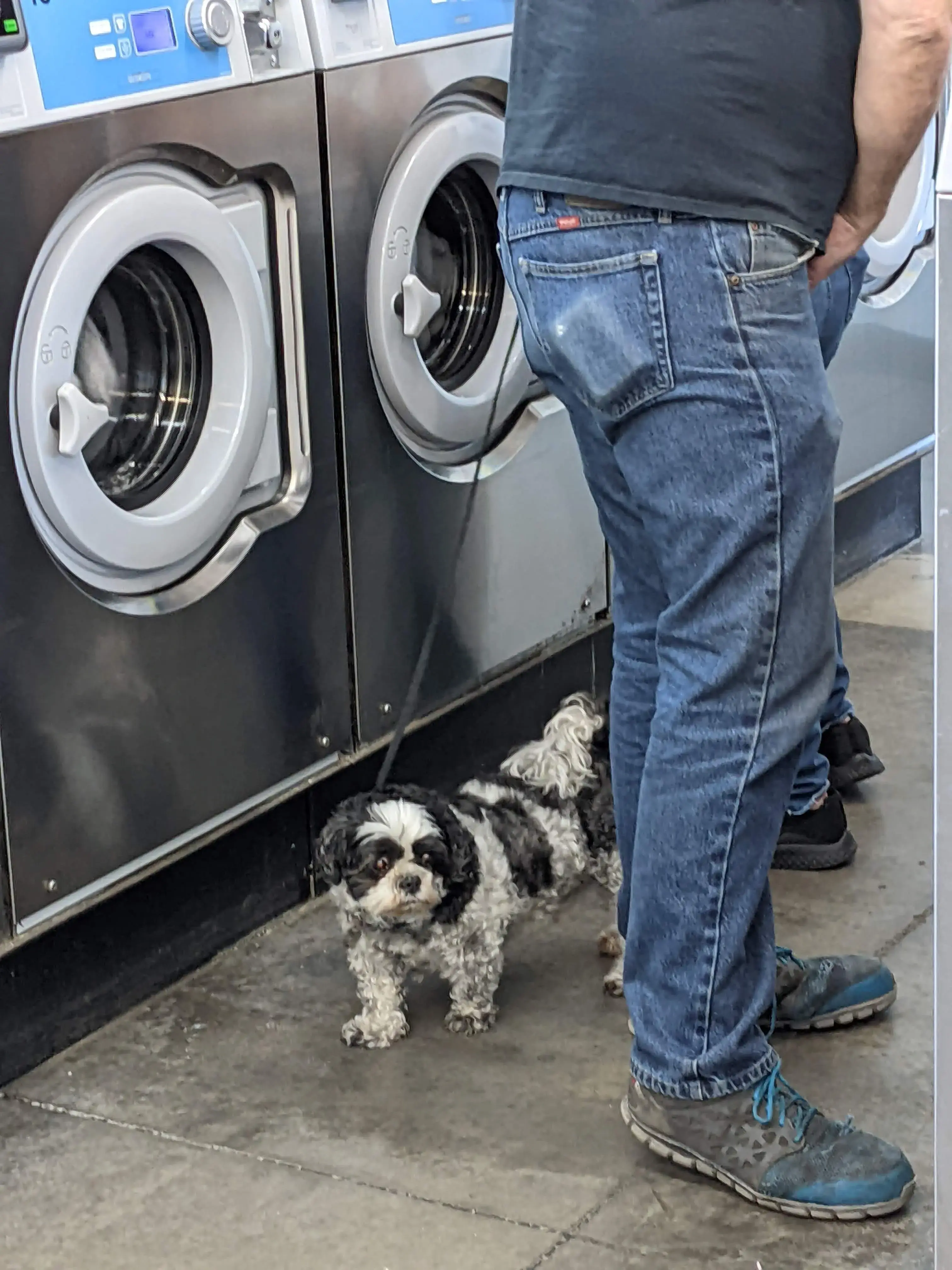 Laundry Depot thumbnail 4