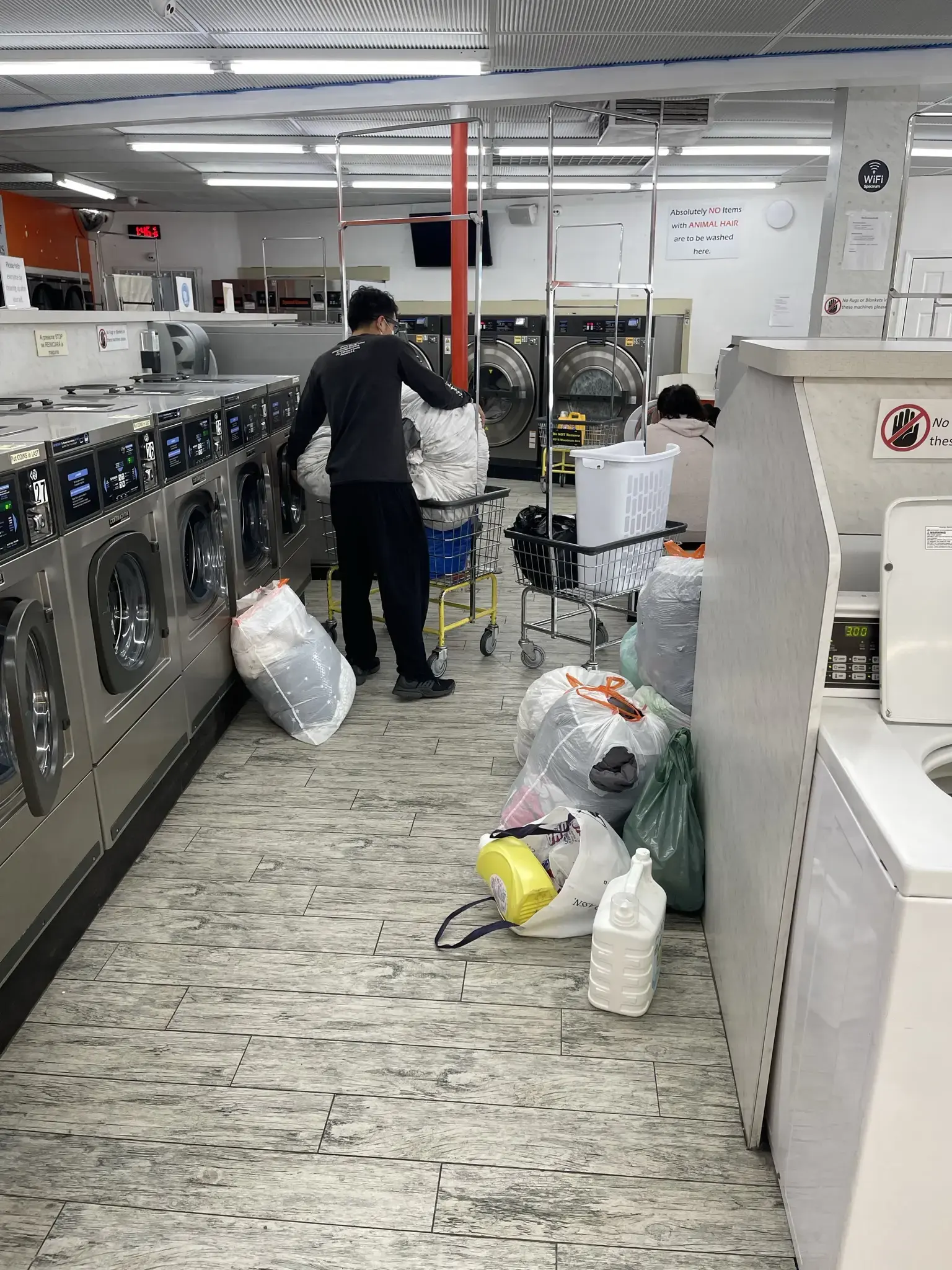 Laundry Essentials - Image 14