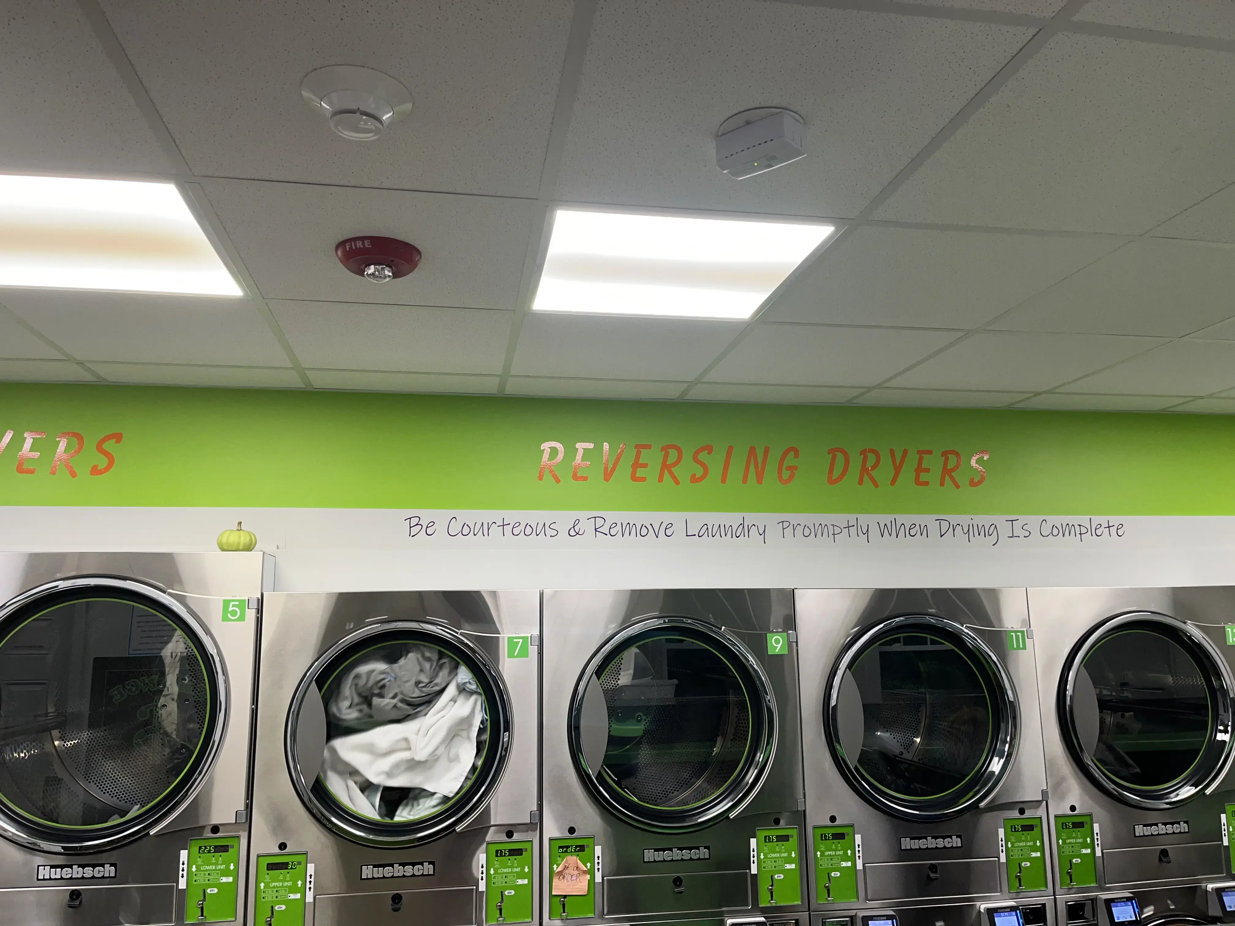 Laundry Express thumbnail 11