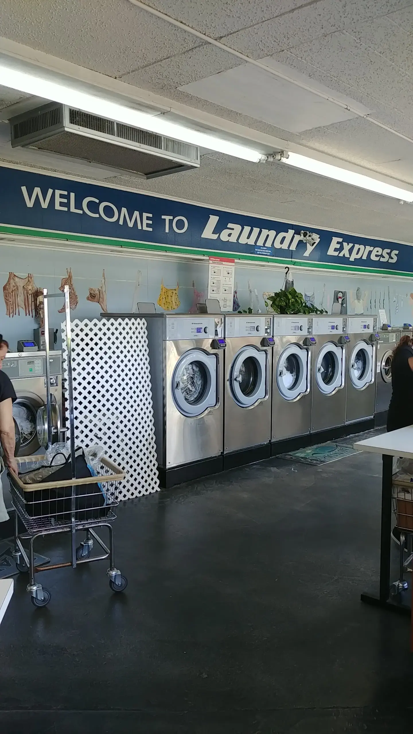 Laundry Express - Image 17