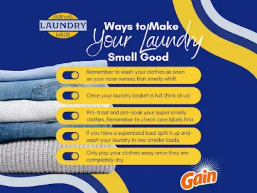 Laundry Haus - Meridian - Image 11